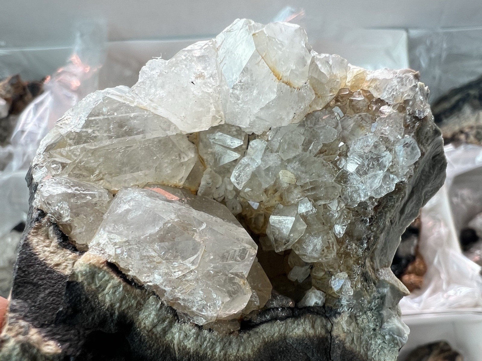12 Quartz & Siderite Specimens – Potosí Mine, Santa Eulalia, Chihuahua, Mexico