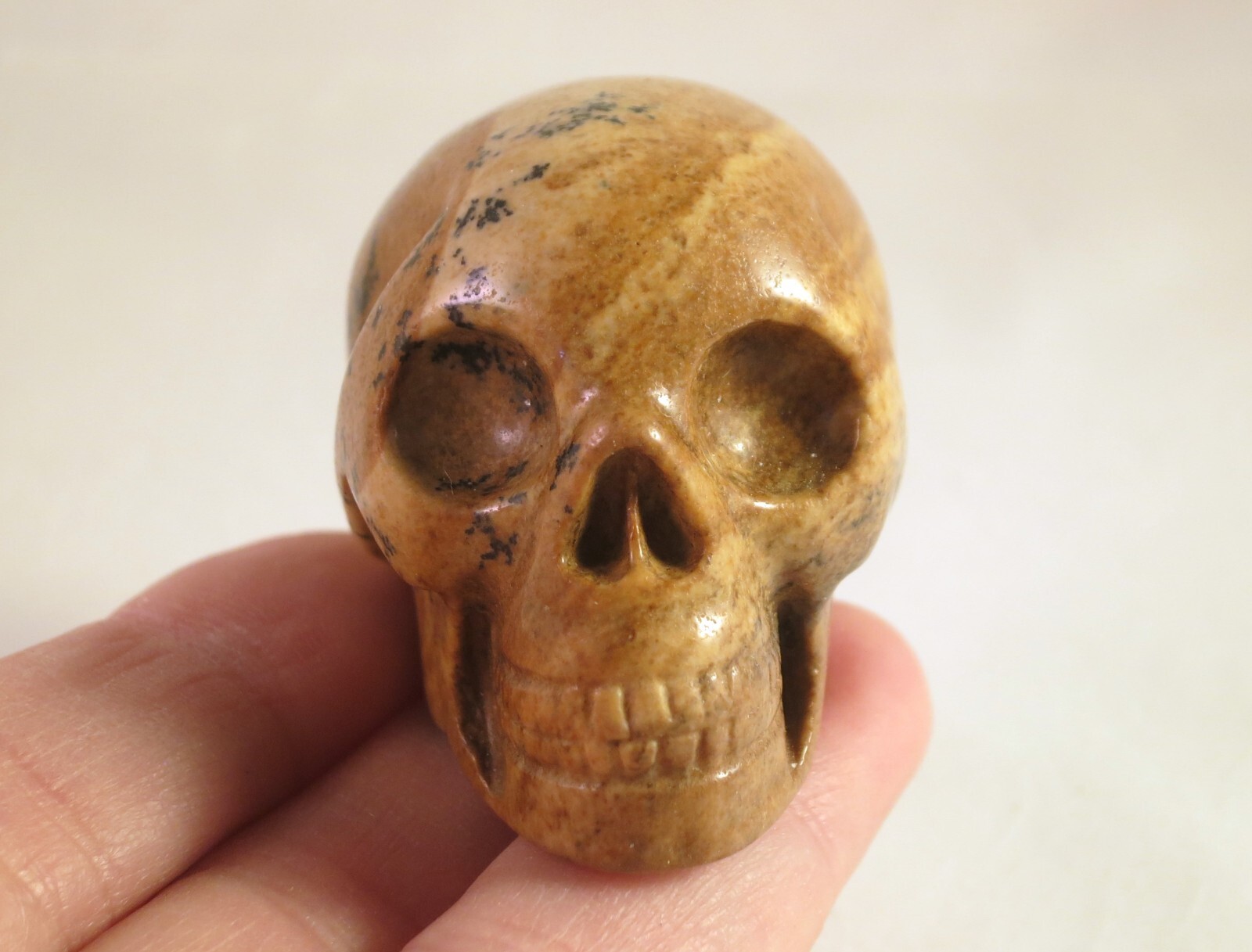 2″ PICTURE JASPER Carved and Polished SKULL