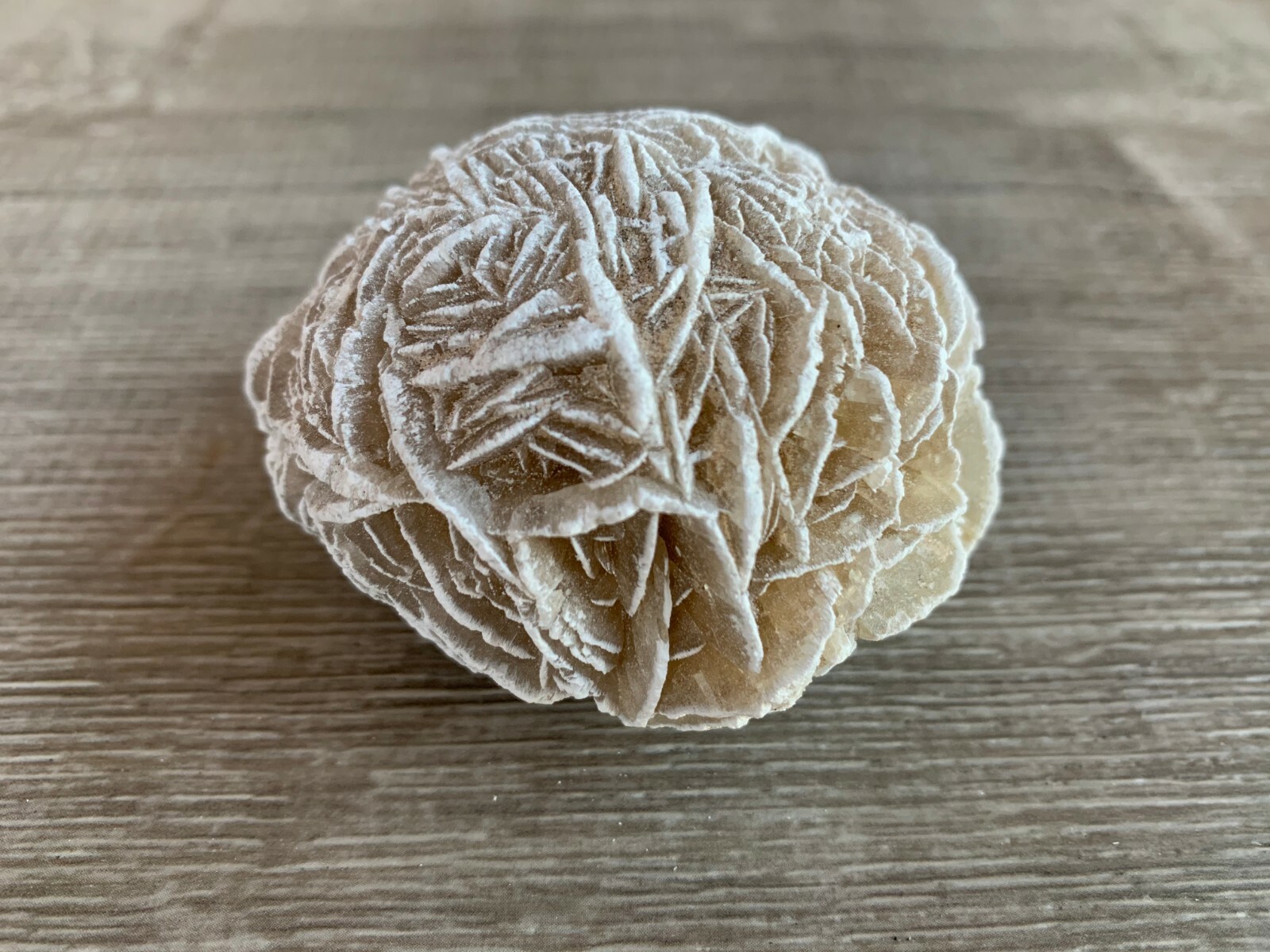 Extra Large Desert Rose Selenite, 1.5-4 Inches Desert Gypsum Rose, Pick a Size