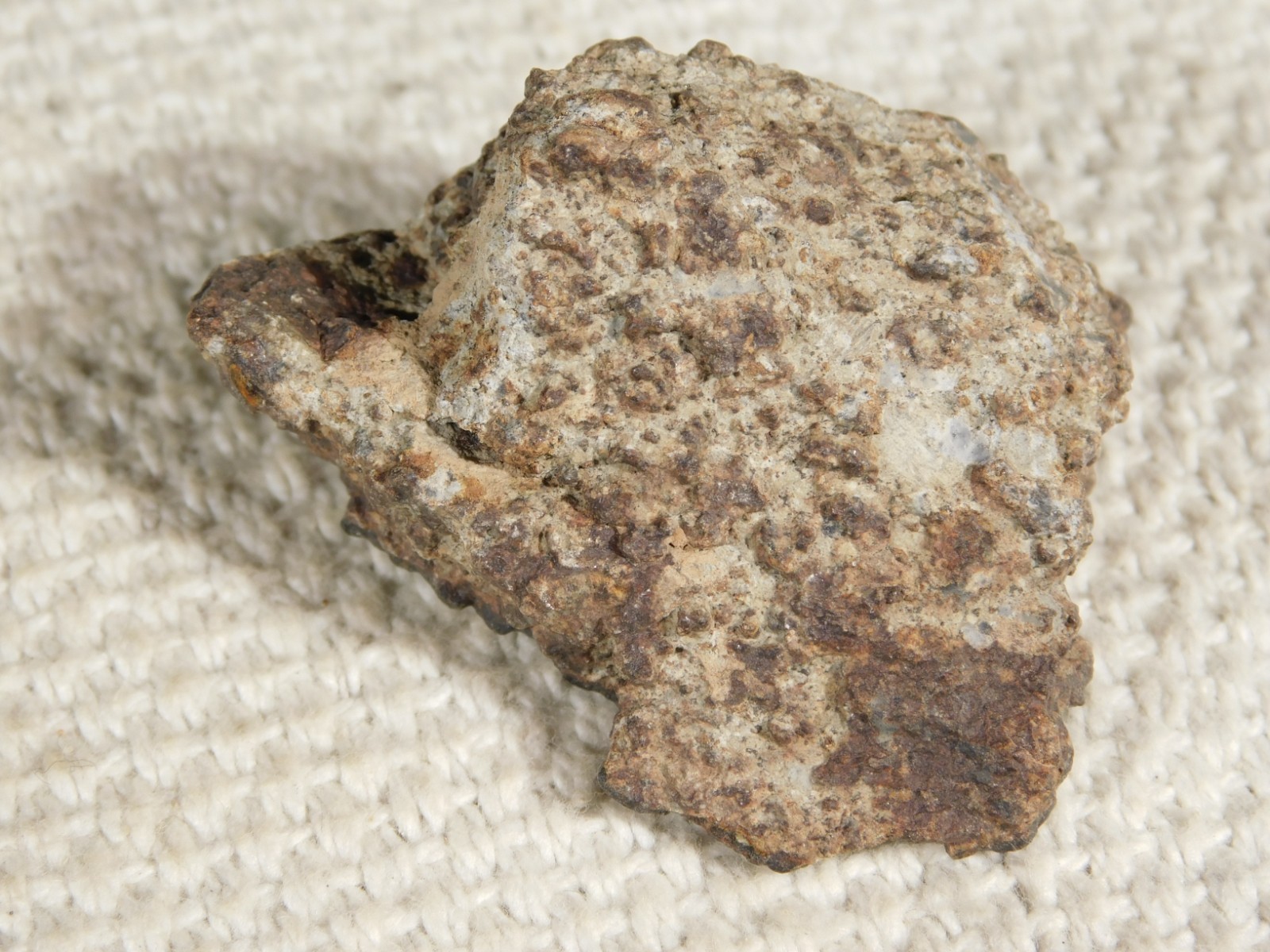 Classified NWA 8245 METEORITE 100% Natural FELL on Erfoud, Morocco 47.3gr