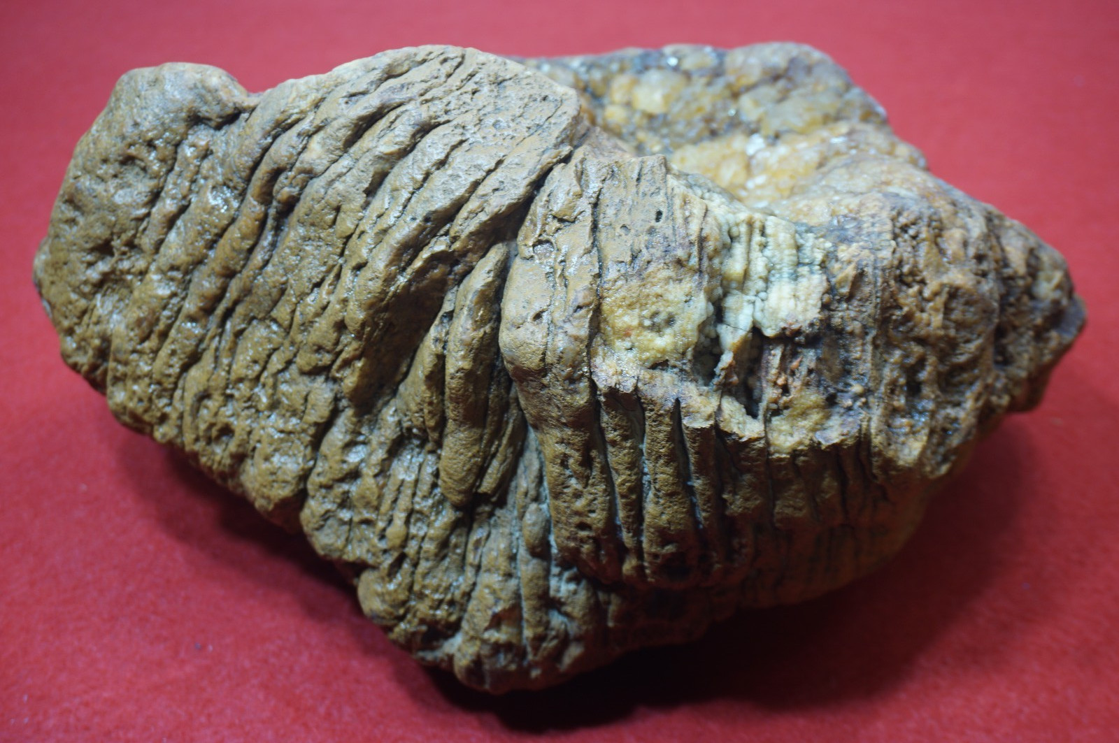 HUGE 30 Lbs. Kentucky Geode
