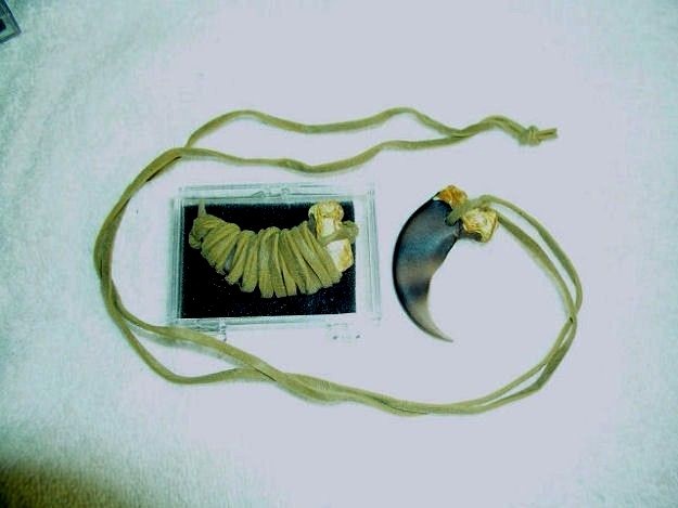 Bear Claw necklace buyer 15″ leather cord courage & strength simulated