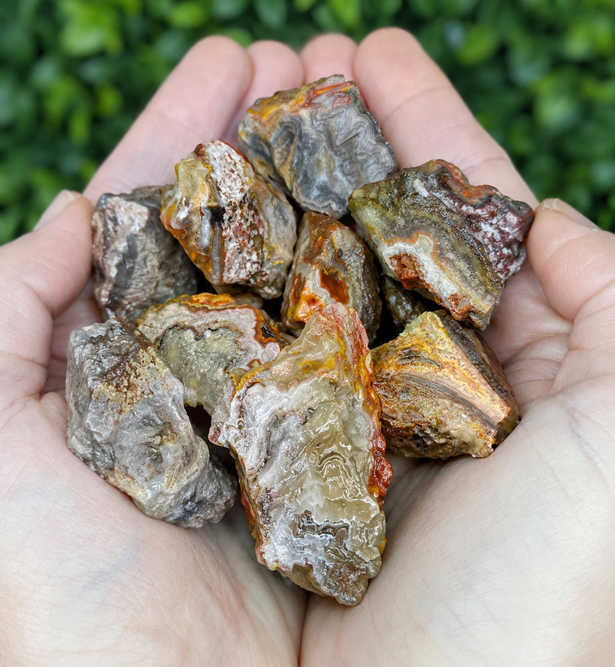 3Pcs Natural Mexican Crazy Lace Agate Rough Raw Stone Minerals Crystal Specimens
