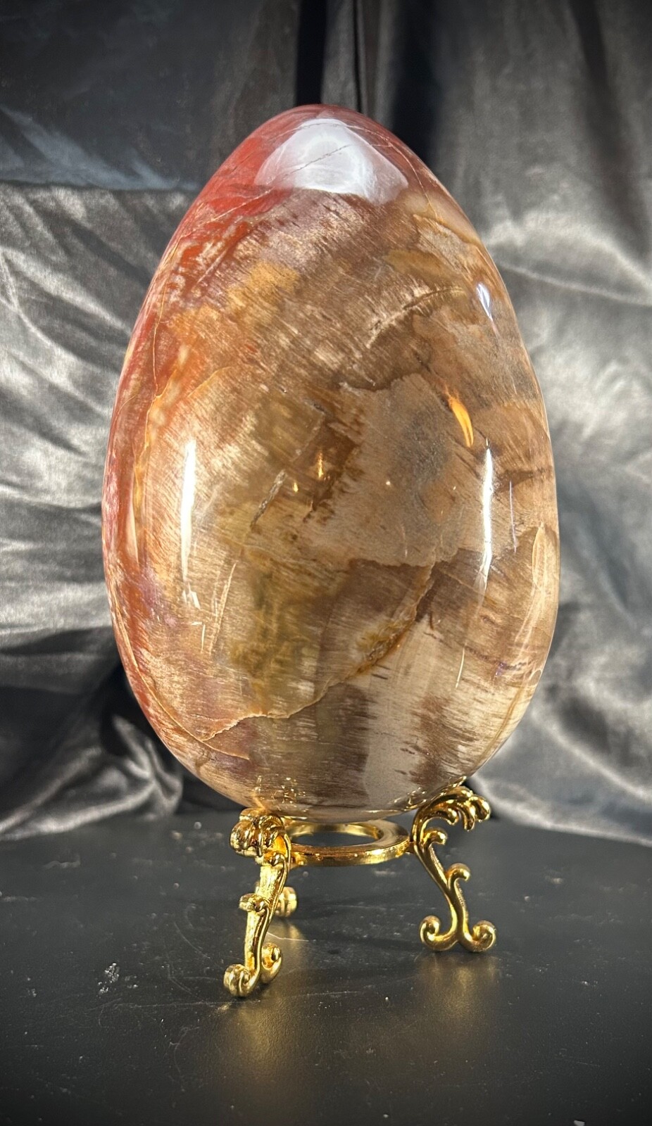5lb 4.2oz Petrified Wood Egg with Metal Stand