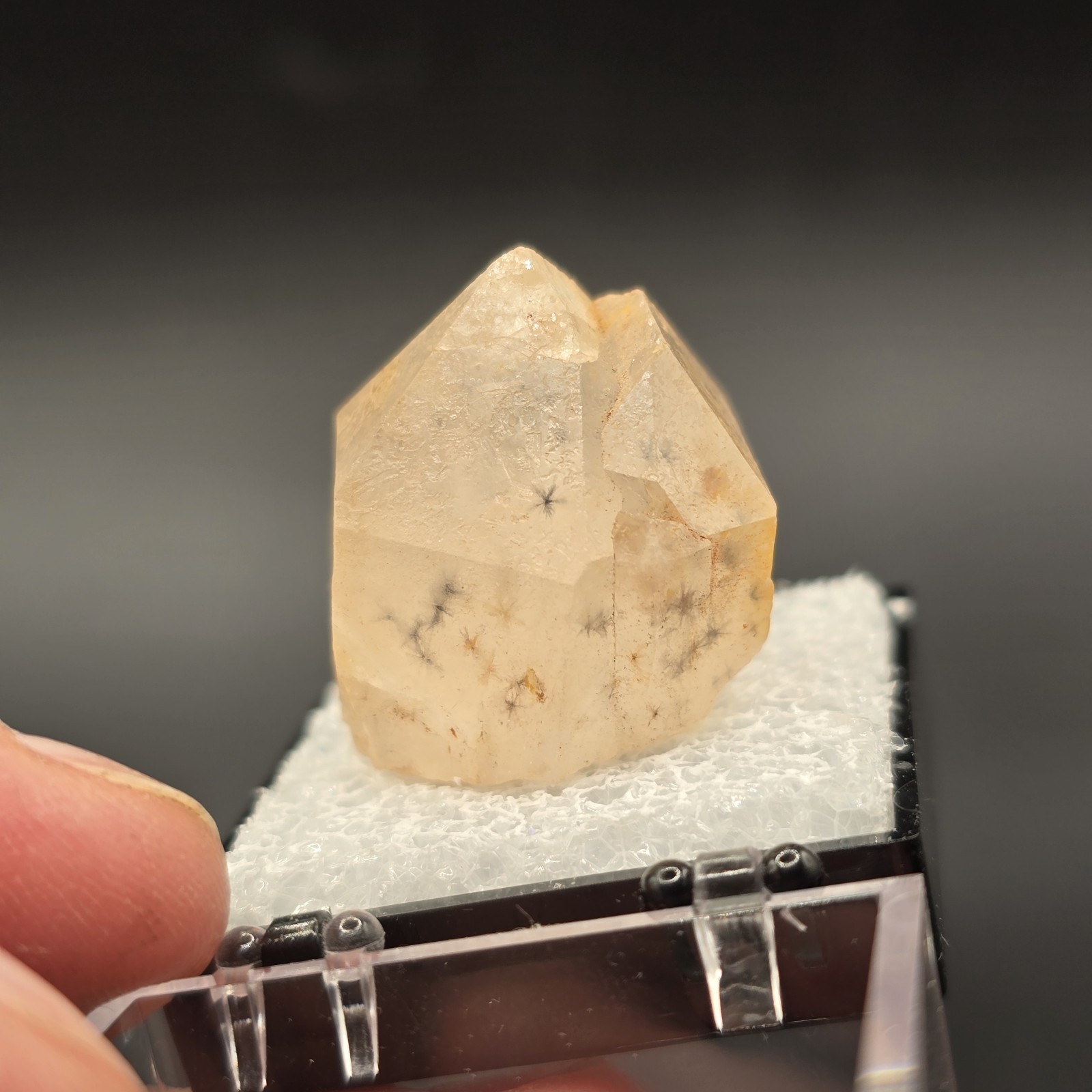 Hollandite Spider Quartz Point Crystal Madagascar Gemstone Specimen in Perky Box