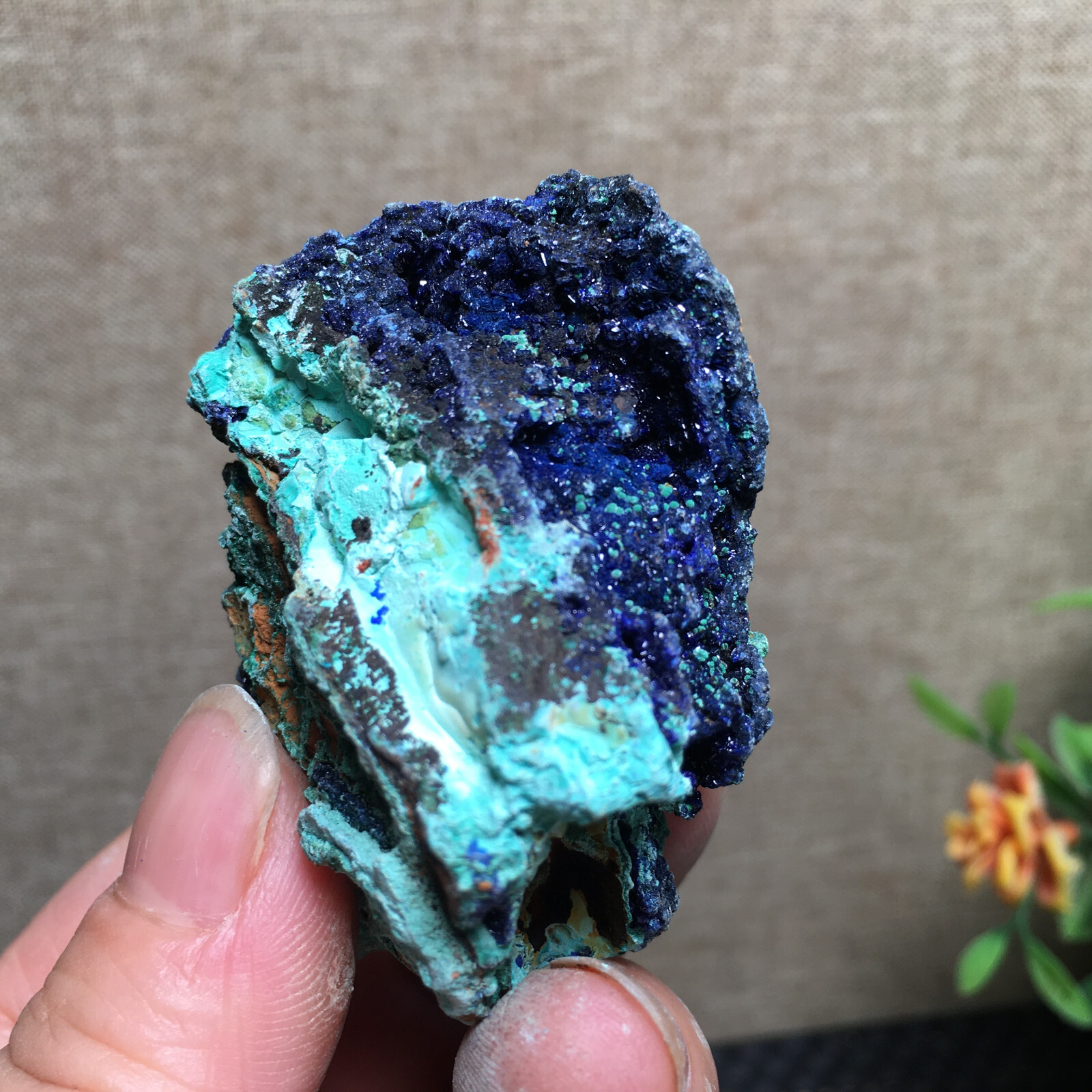 68g Natural Malachite and blue copper ore symbiotic specimens fd139