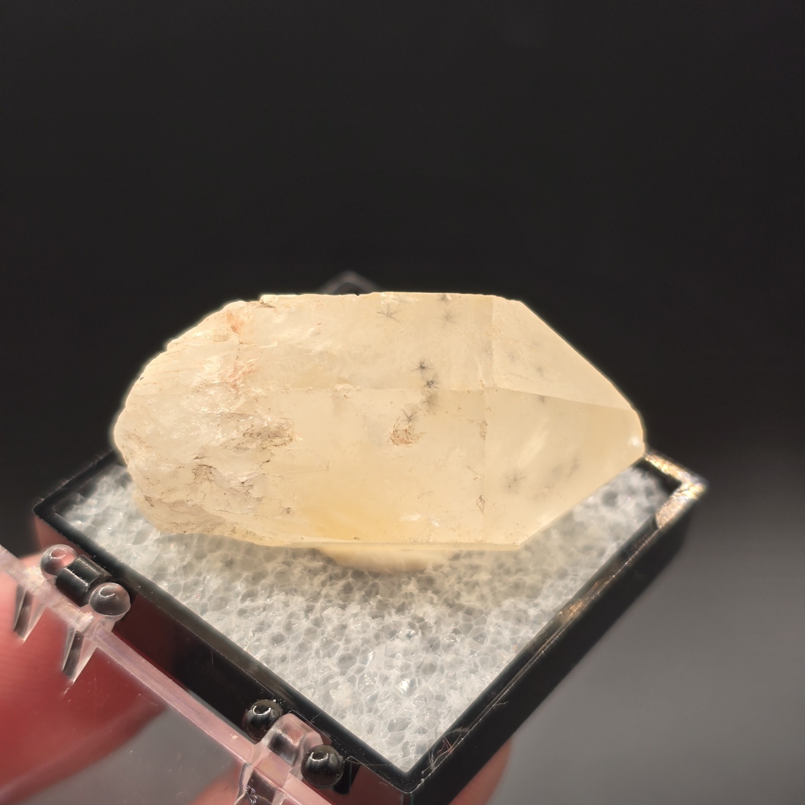 Hollandite Spider Quartz Point Crystal Madagascar Gemstone Specimen in Perky Box