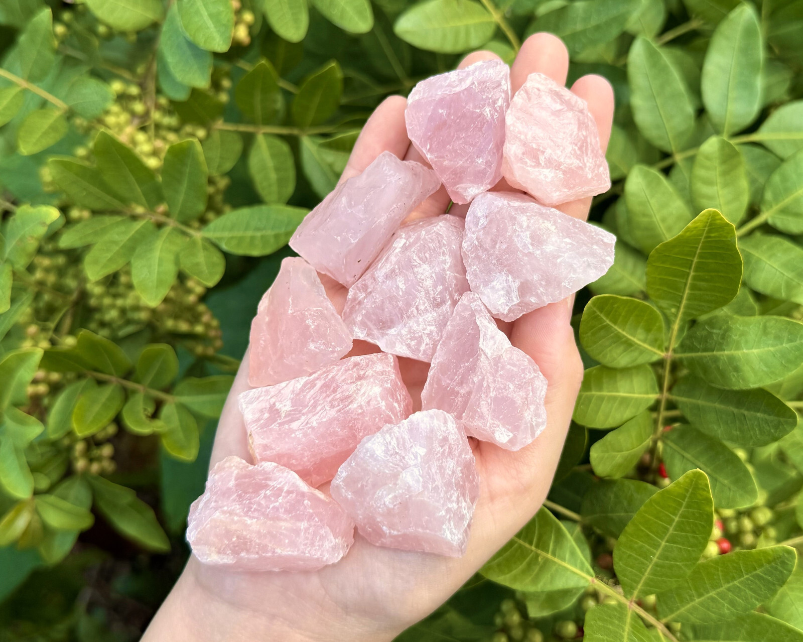11 lb HUGE Wholesale Bulk Lot Natural Rough Rose Quartz Crystals, Raw Love Stone