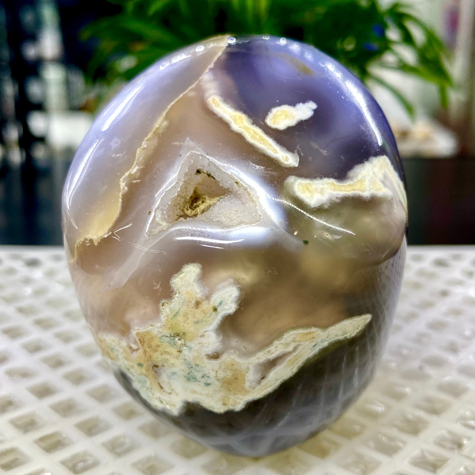 465G Natural Crystal Rare Banded Blue Flower Agate Skull Carving