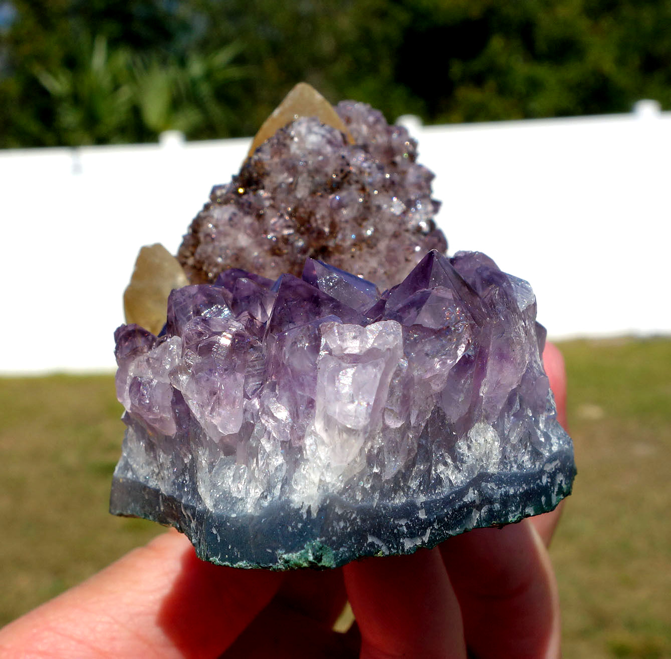 DOGTOOTH CALCITE in Amethyst Flower Quartz Crystal Point a Uruguay STALACTITE