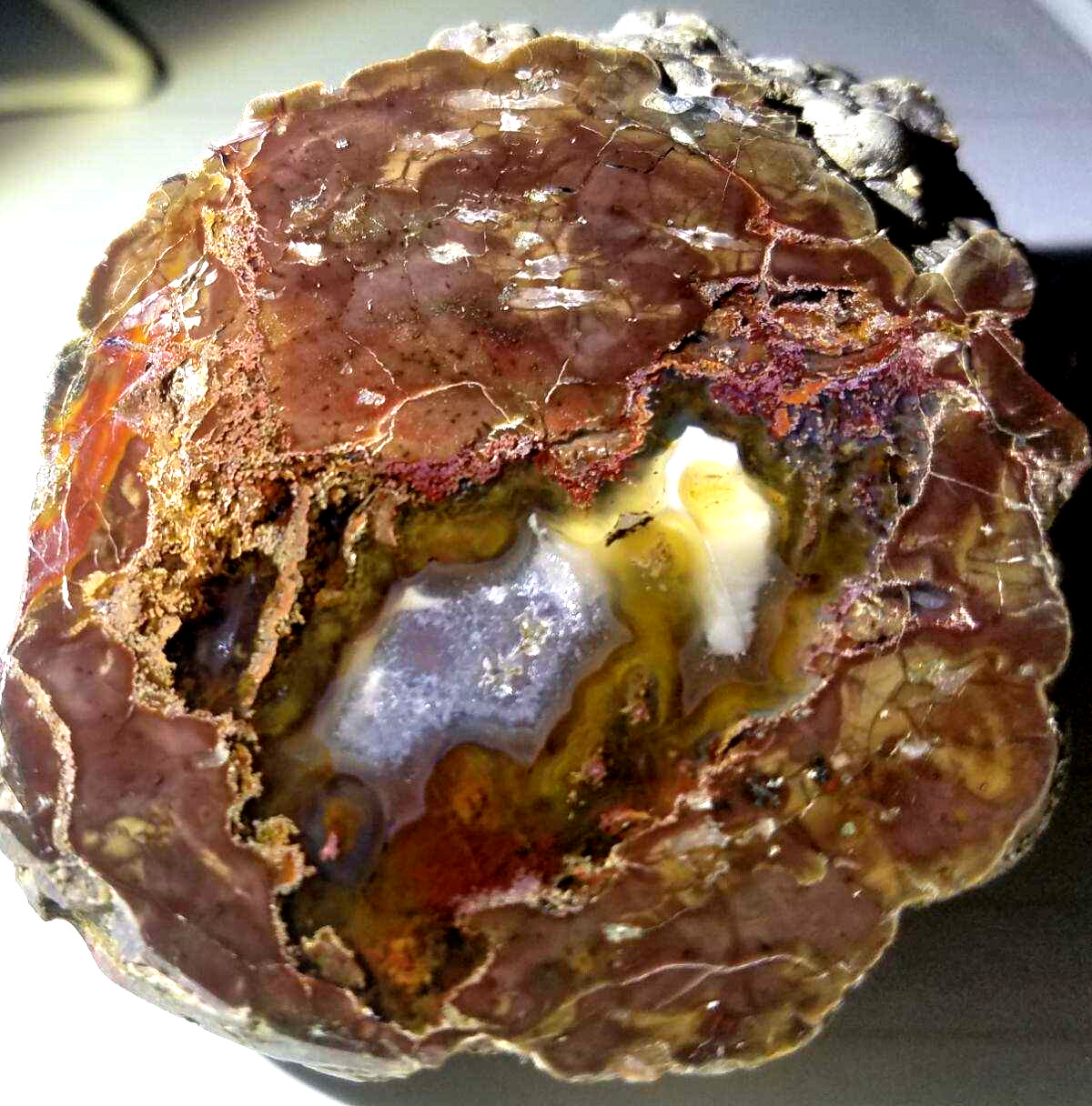 POLISHED RARE Oregon Mill Creek Thunderegg (No Cracks Agate)Ghost Crystal Plumes