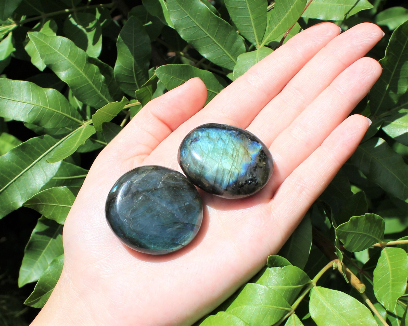 Labradorite Palm Stones – Hand Polished Labradorite Pebbles, Wholesale Bulk Lot