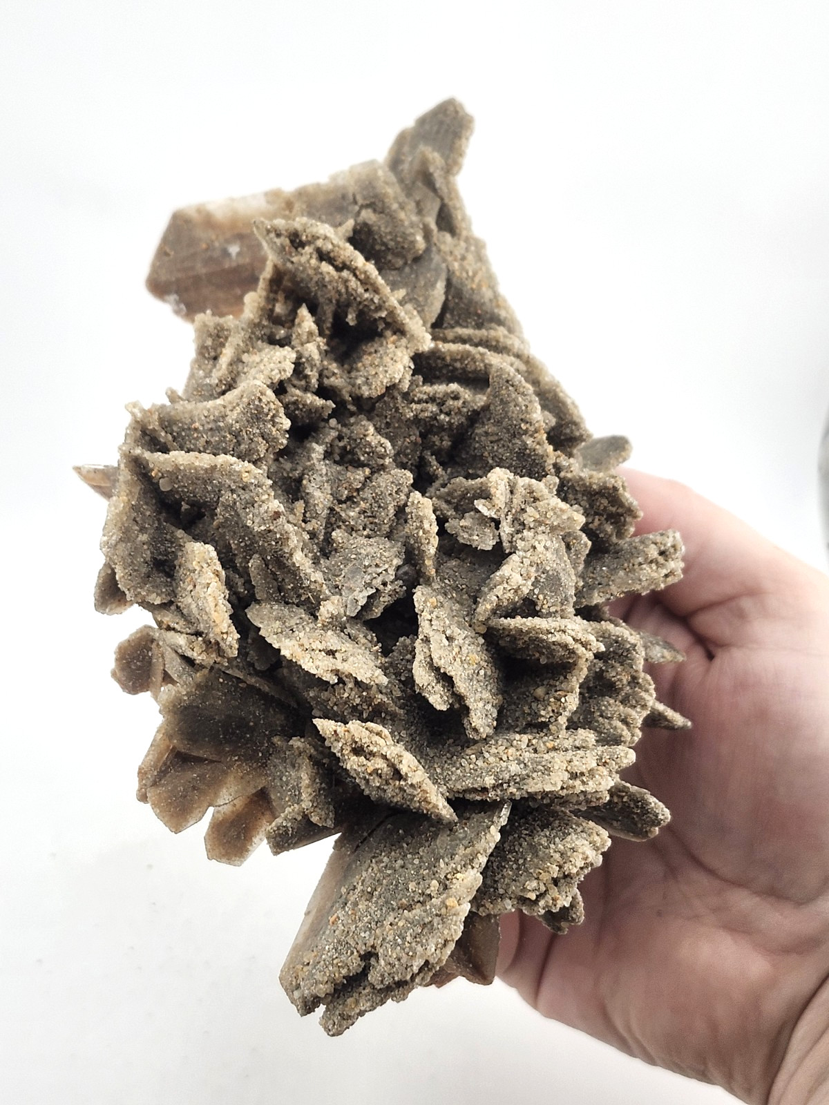 Hourglass Selenite Gypsum Crystal Cluster Oklahoma Old Stock 410 Grams