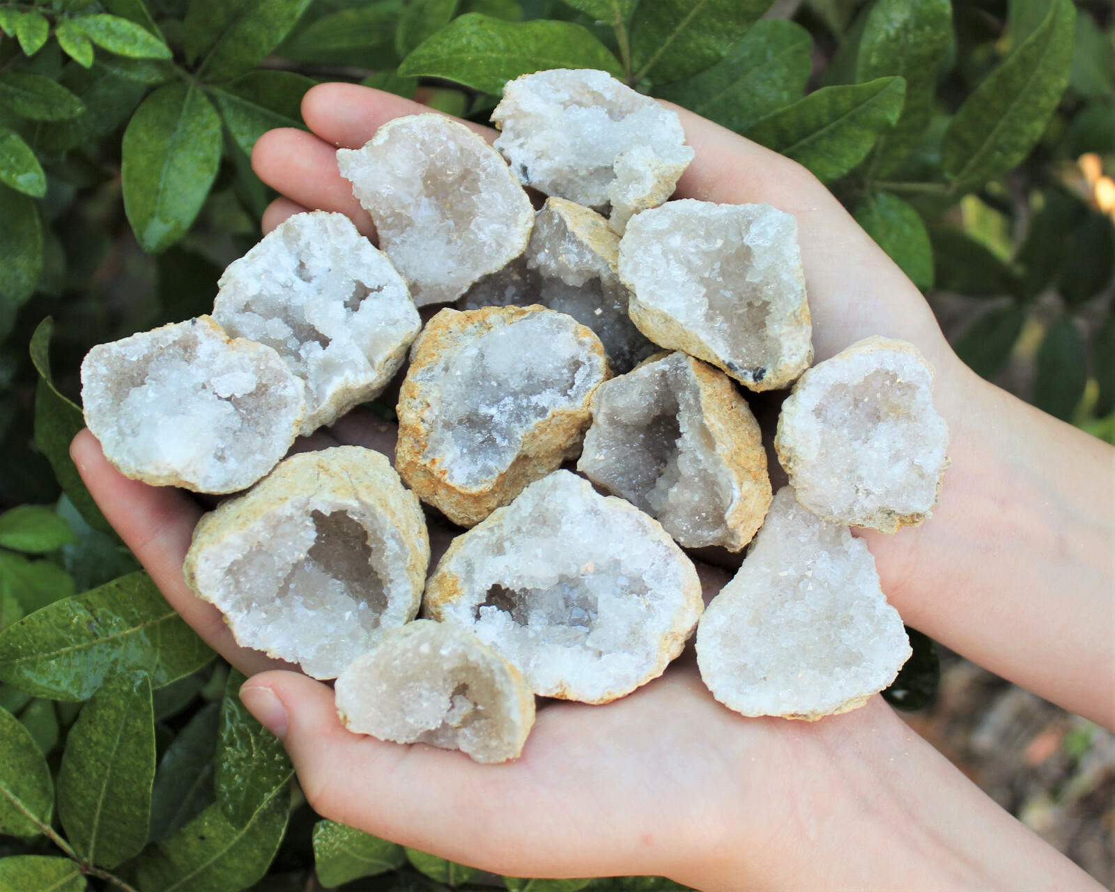 20 Break Crack Open Your Own Whole Quartz Geodes (Unopened Crystals)