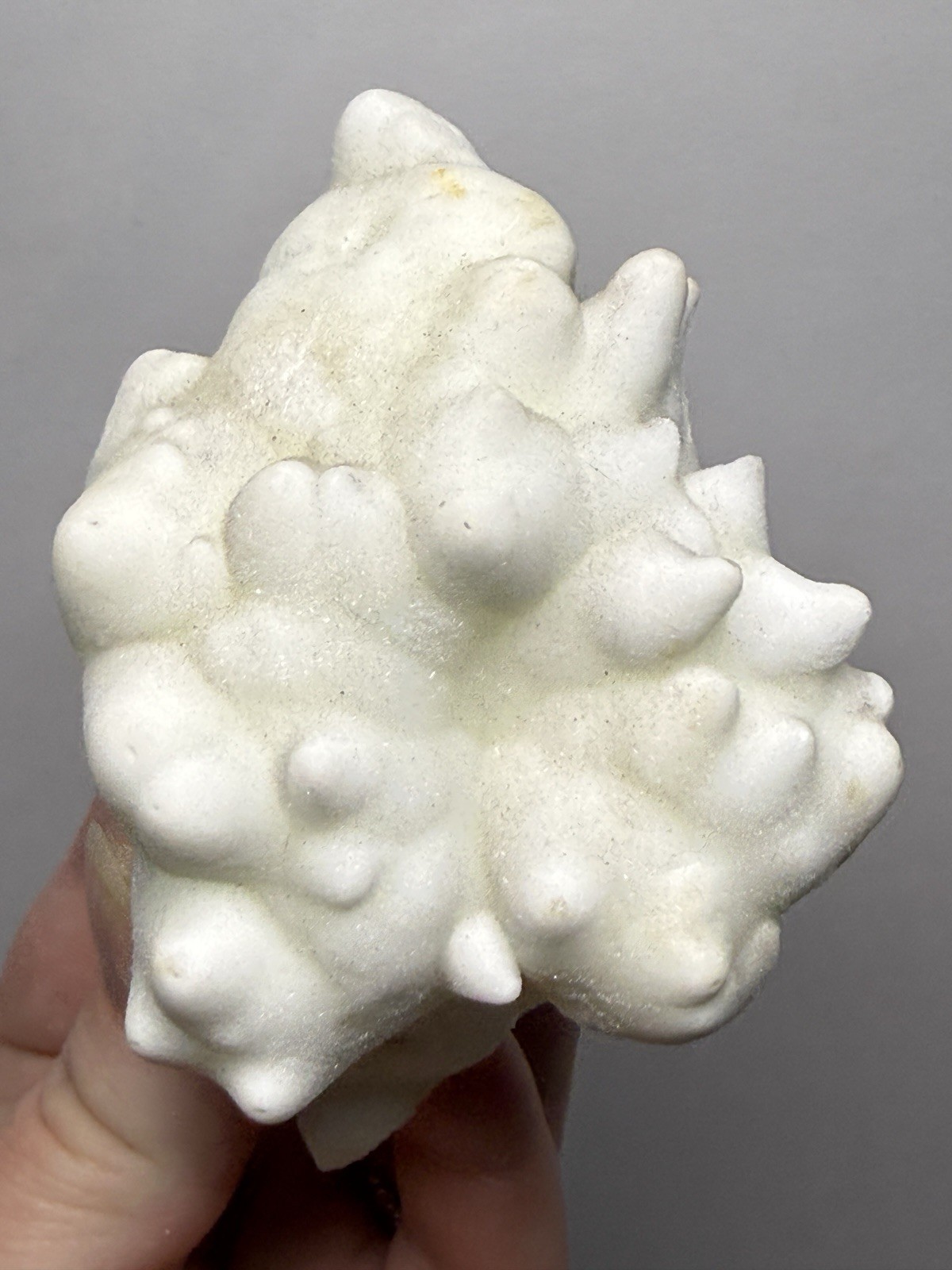 Superb White Flos Ferri Aragonite “Flower of Iron” | Lom Vitošov, Czech Republic