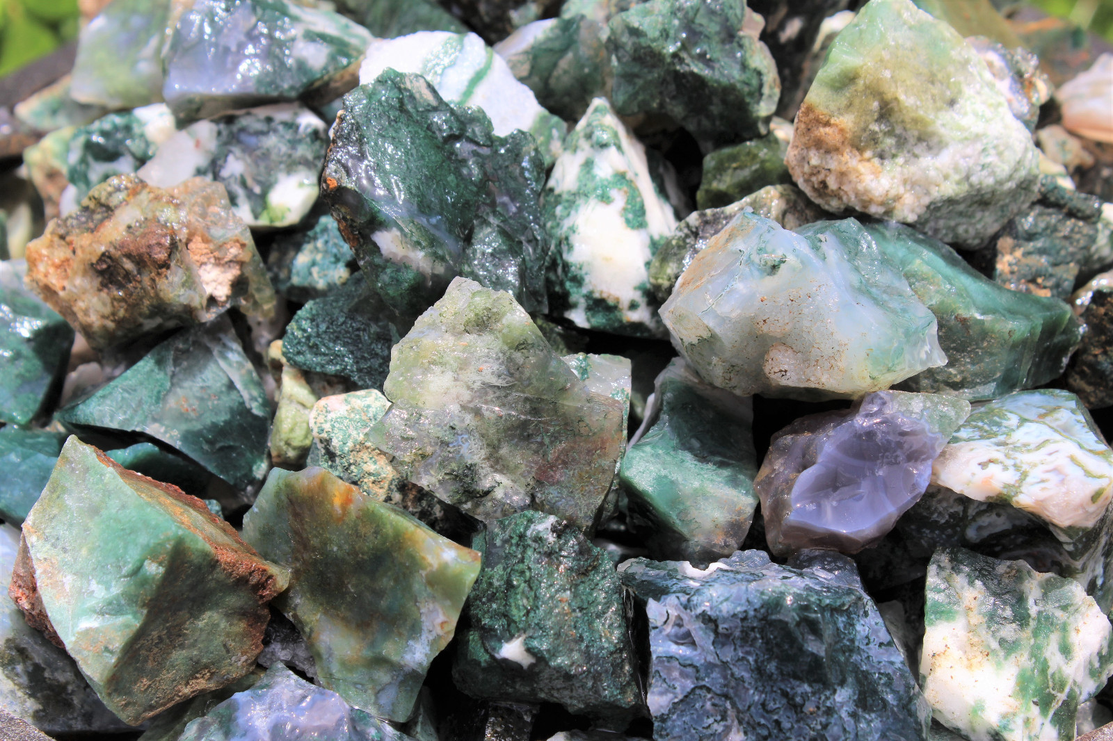 5 lb HUGE Bulk Lot Natural Rough Moss Agate (Raw Rock Stone Crystal Healing)