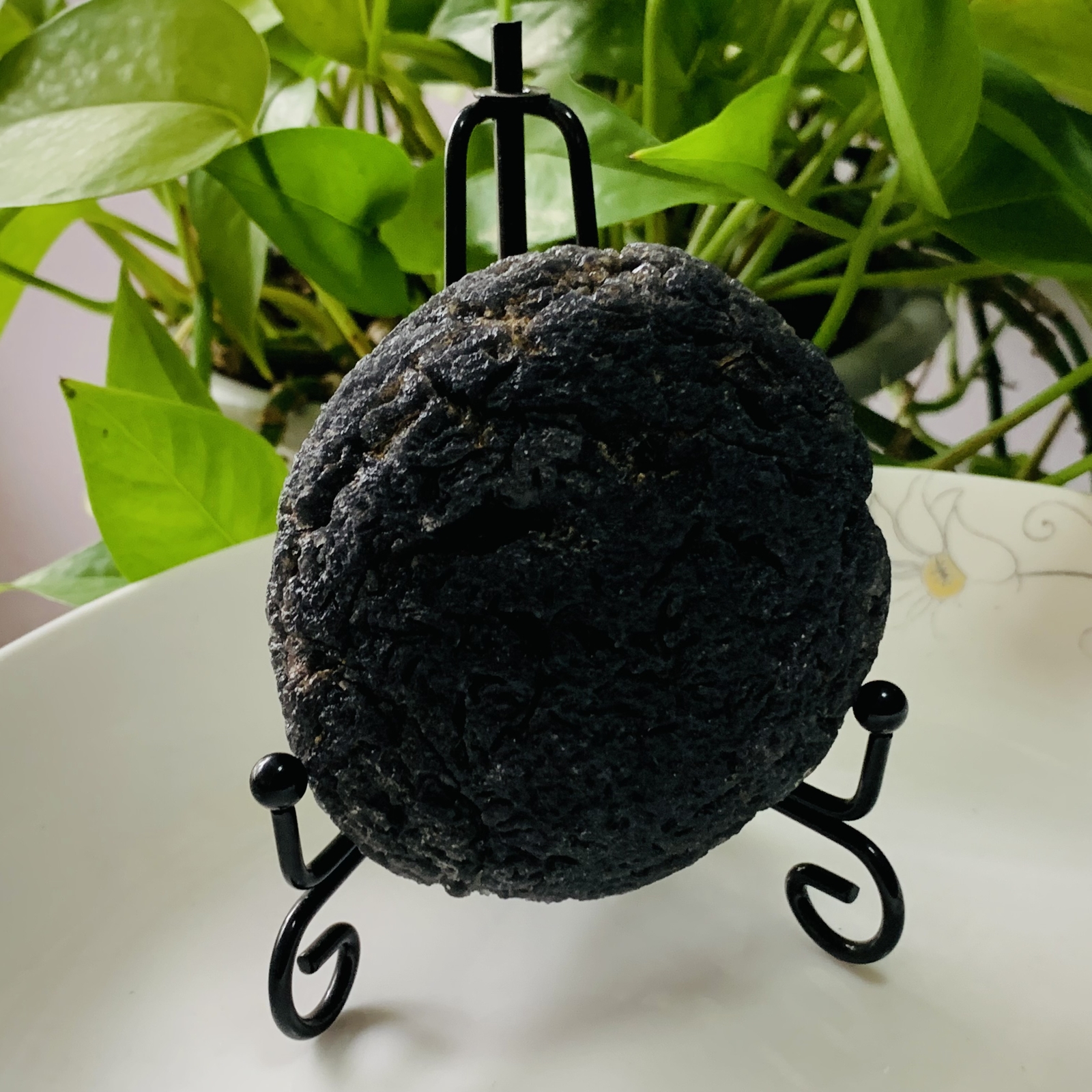 TOP 286g Natural Carbonaceous Chondrite Meteorite with Black reiki healing+stand