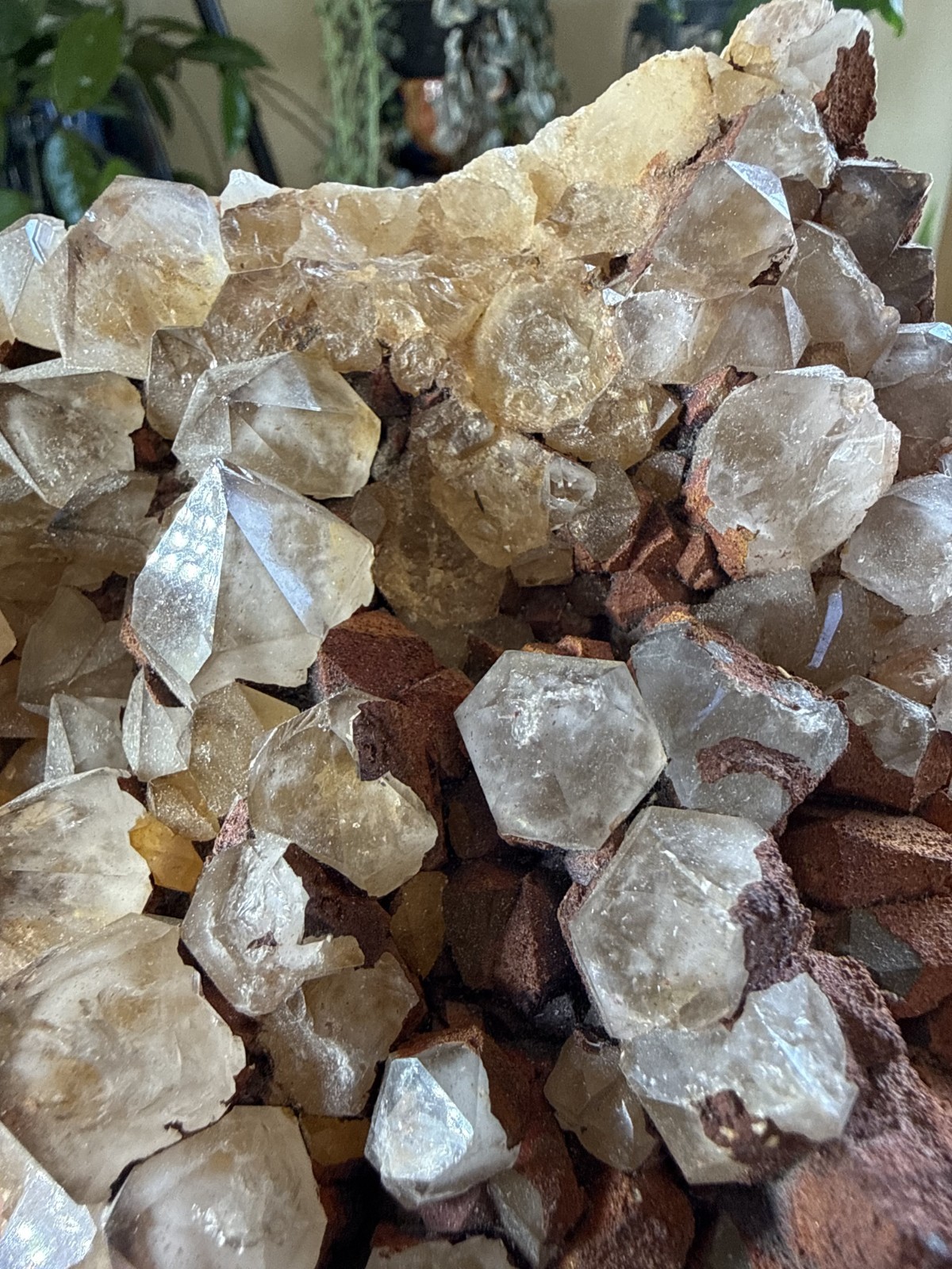 Large Smoky Quartz Crystal Cluster w/Limonite – Bulgaria – 2.45lbs