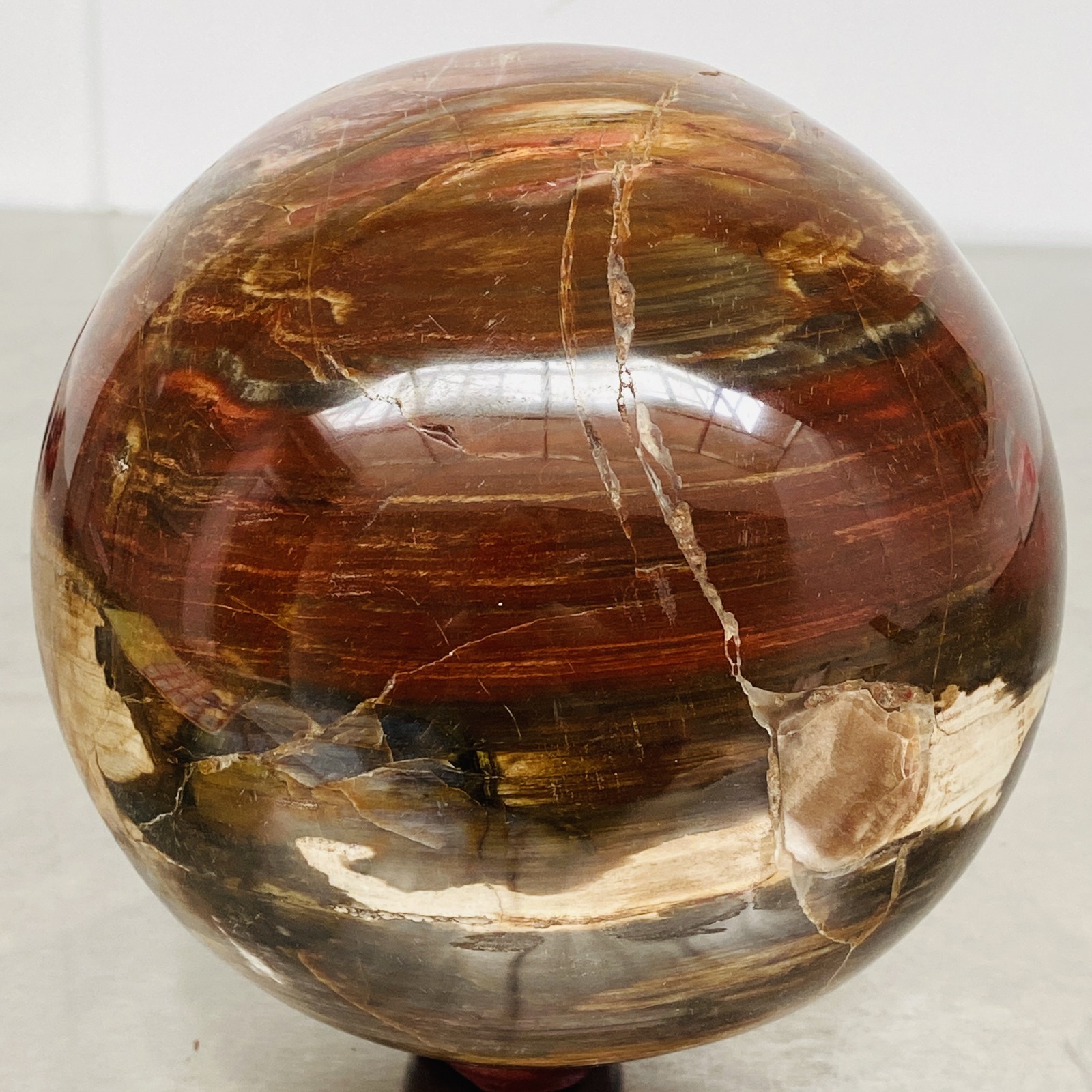 Natural Petrified Wood Polished Stone Quartz Crystal Sphere Ball Healing 3720G