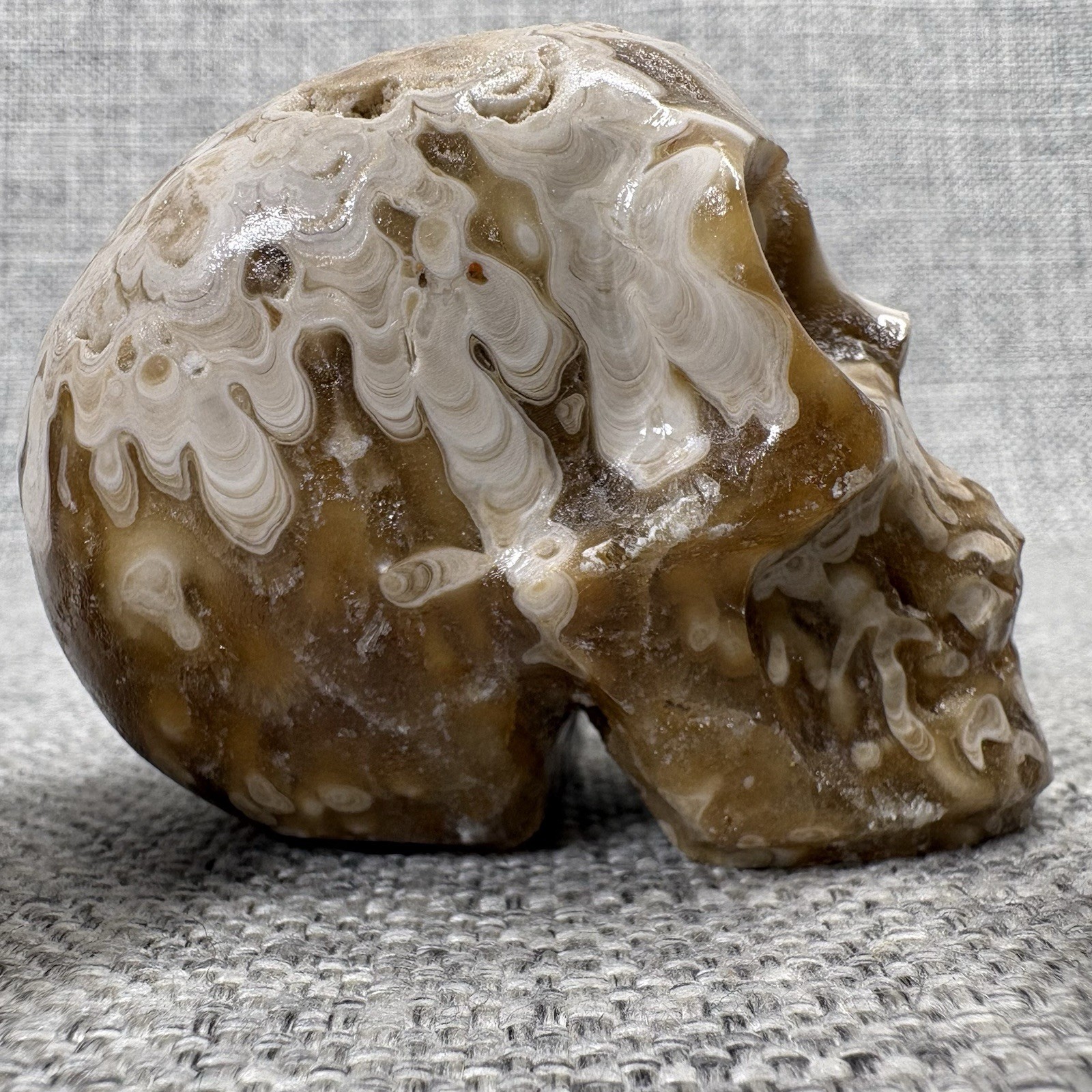 Amber Agate Crystal Skull Set 3pc Druzy Hand Carved Polished Stone Brown