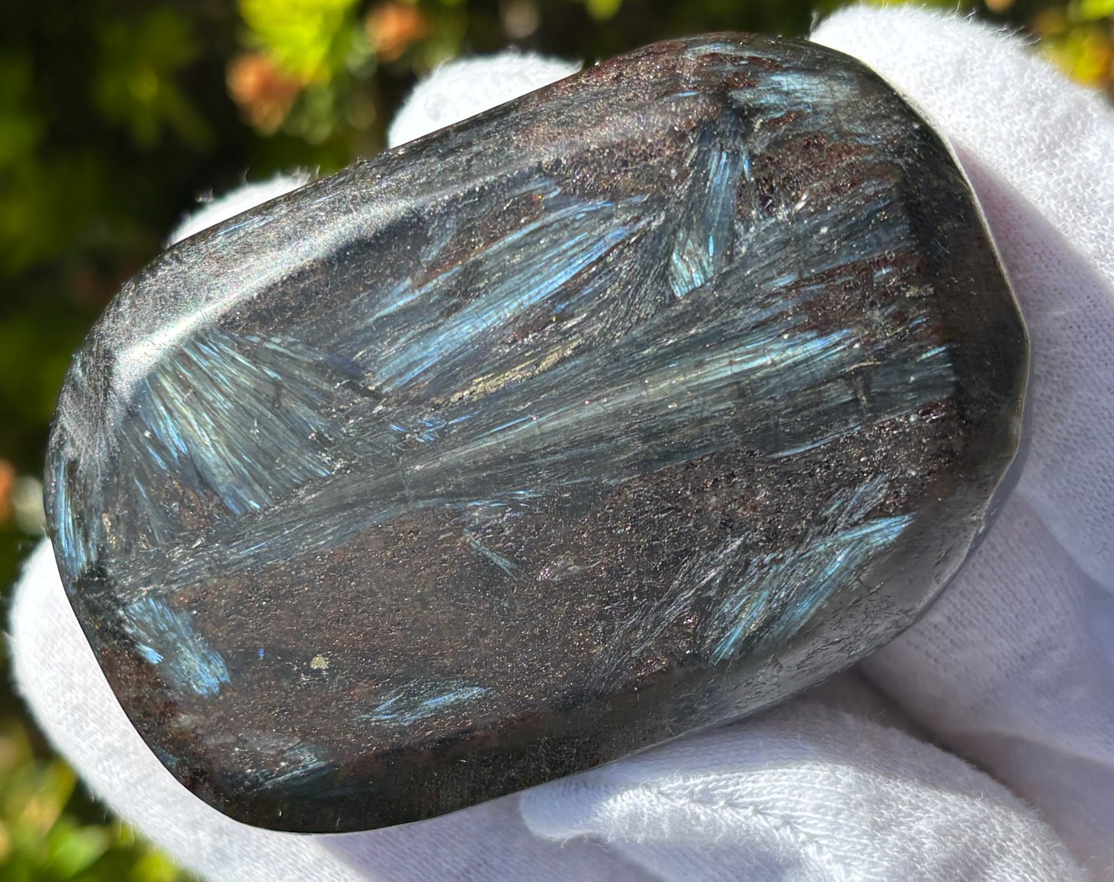 LOT PHOSPHOSIDERITE & ARFVEDSONITE Antho phyllite PALMSTONES PALM STONE FLASH