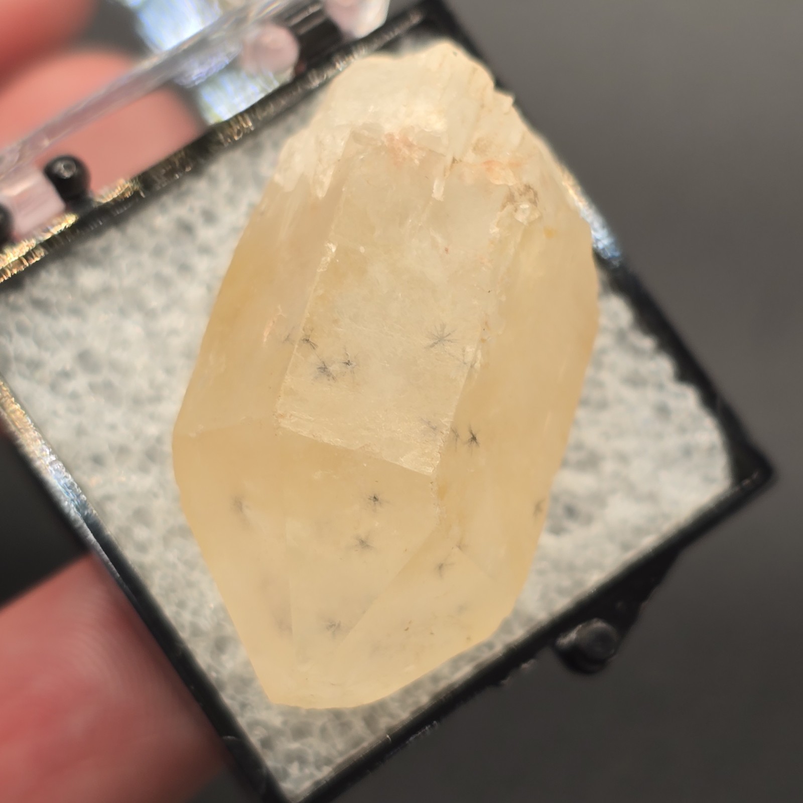 Hollandite Spider Quartz Point Crystal Madagascar Gemstone Specimen in Perky Box