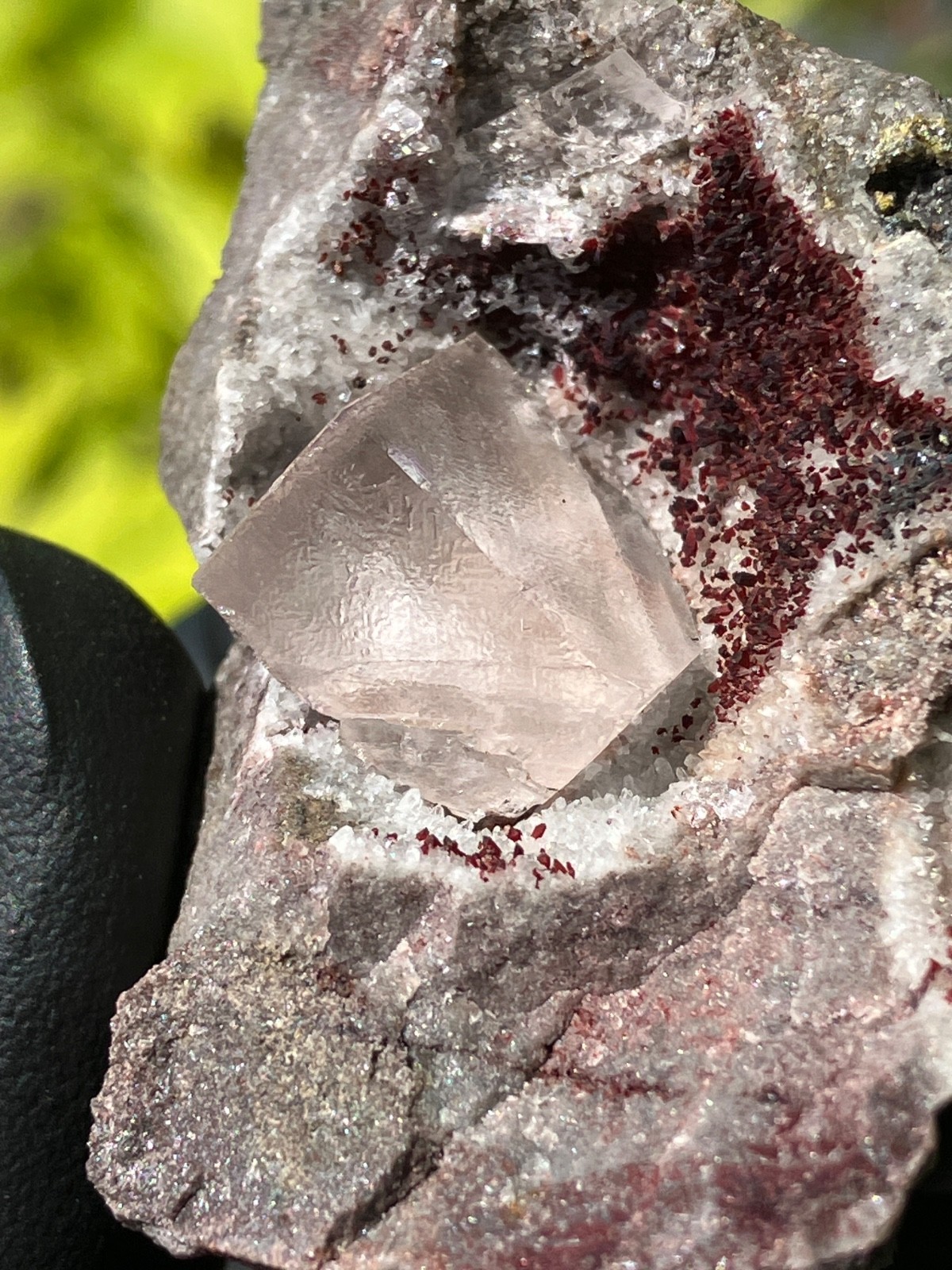 Fluorite “Red Pocket” 2007-2008 “Rare” U.V. Ojuela Mine, Mapimi, Durango, Mexico