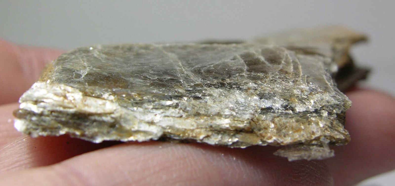 #7 Coastville Pa USA 2 15/16 in. 100% Natural Raw Silver Mica Specimen 75.00mm