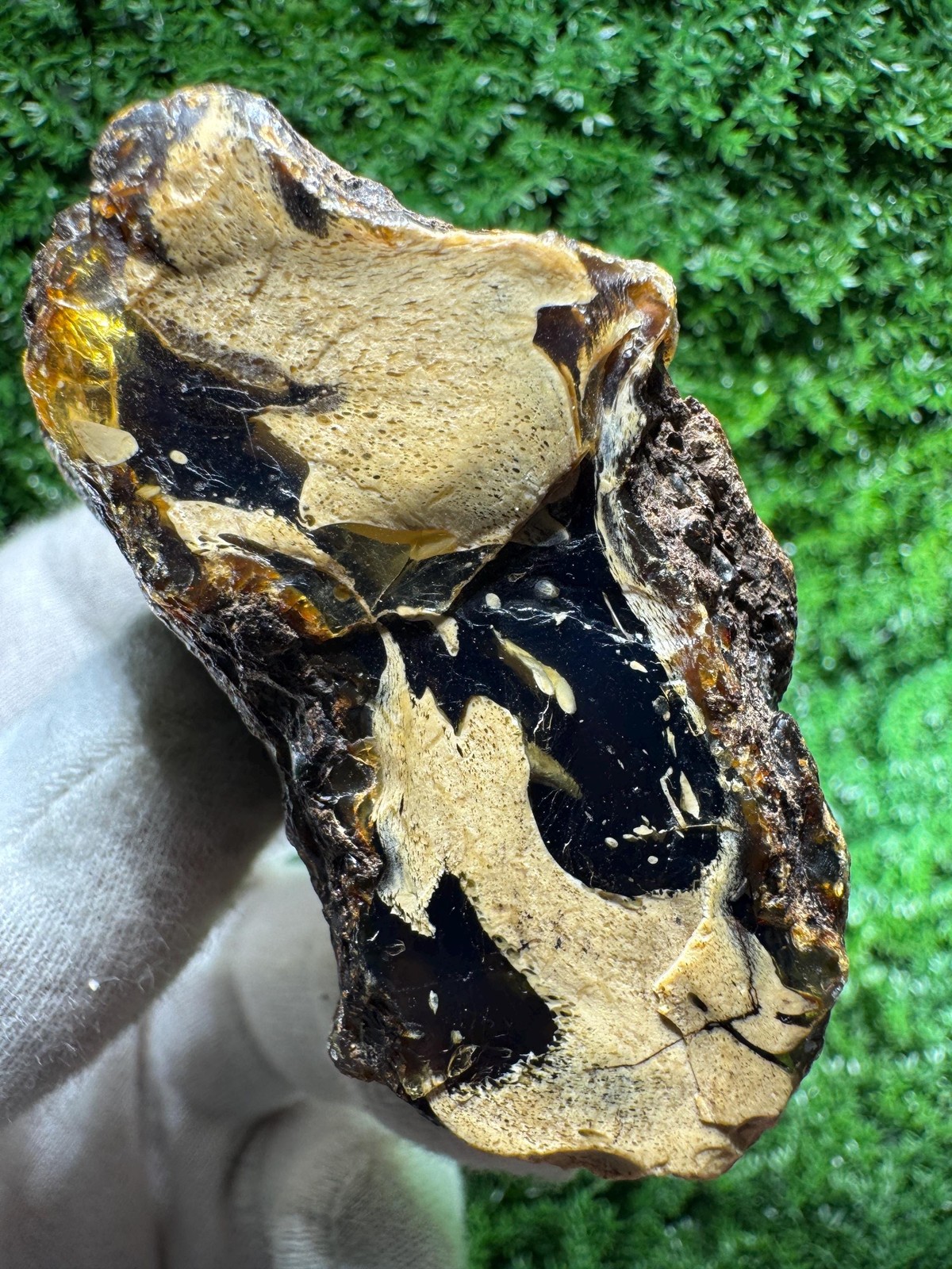 Beauty! Natural BLUE AMBER from Indonesia! UV reactive, / N376