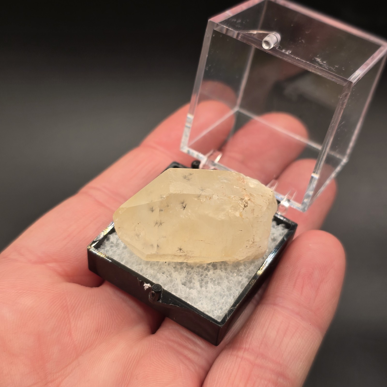 Hollandite Spider Quartz Point Crystal Madagascar Gemstone Specimen in Perky Box