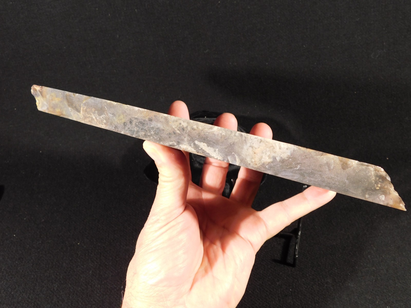 Larger 210 Million Year Old! Polished Petrified WOOD Fossil Slab Arizona 925gr