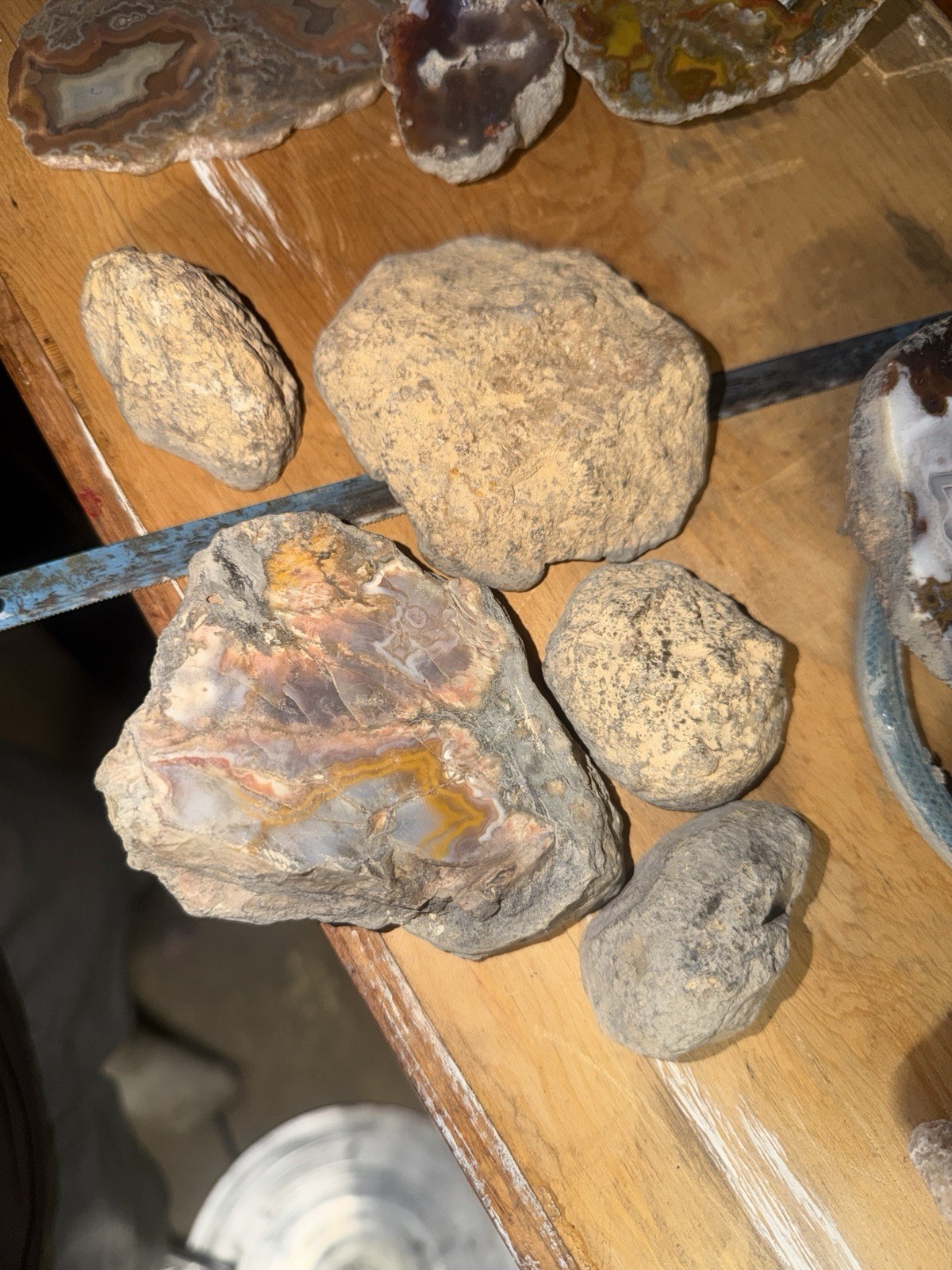 5 Mirror Polished Kentucky Agate Specimens. Nice Variety Fortifications Banding