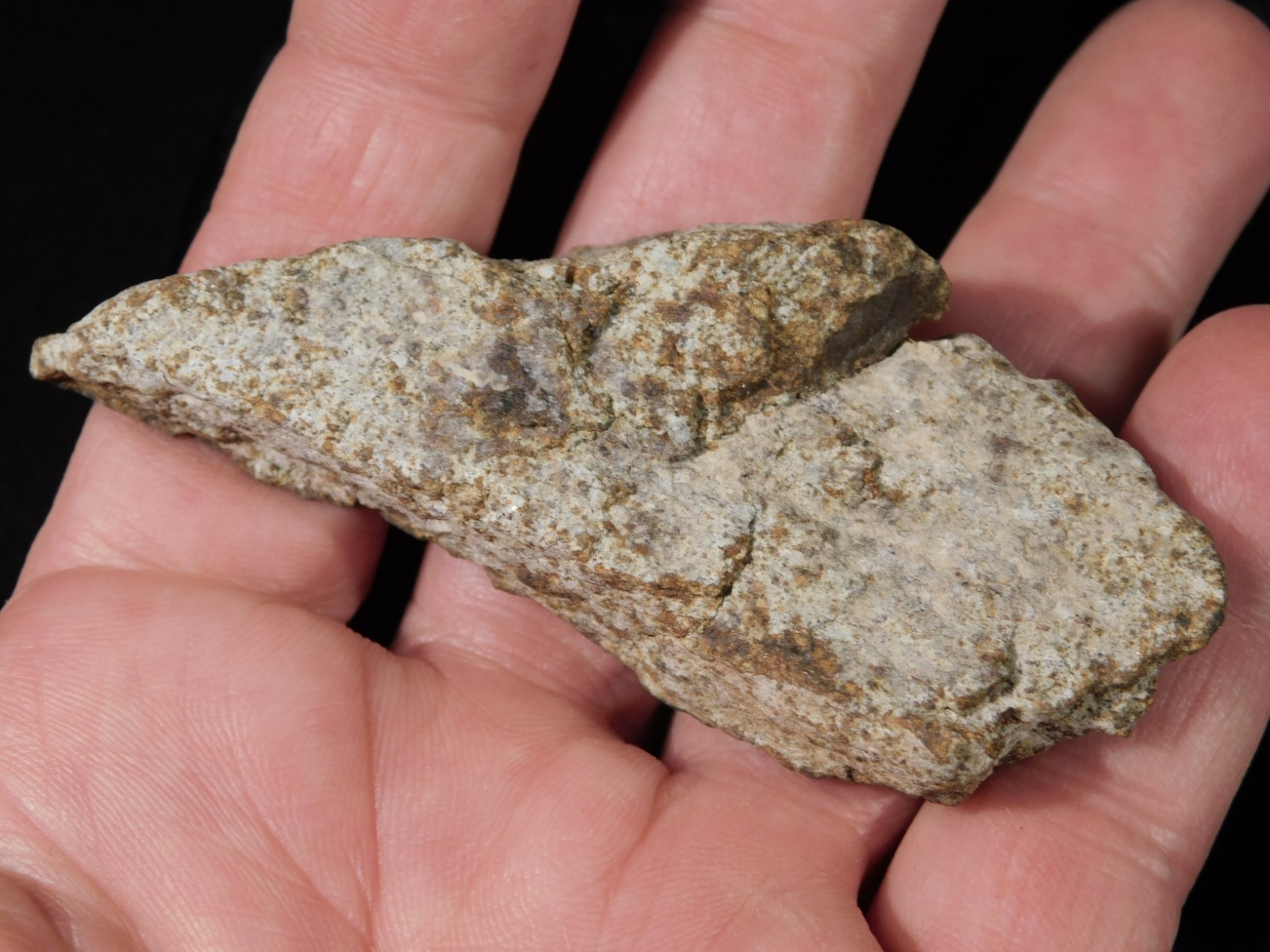 Classified NWA 8245 METEORITE Spots of Dark Fusion Crust! Erfoud, Morocco 68.7gr