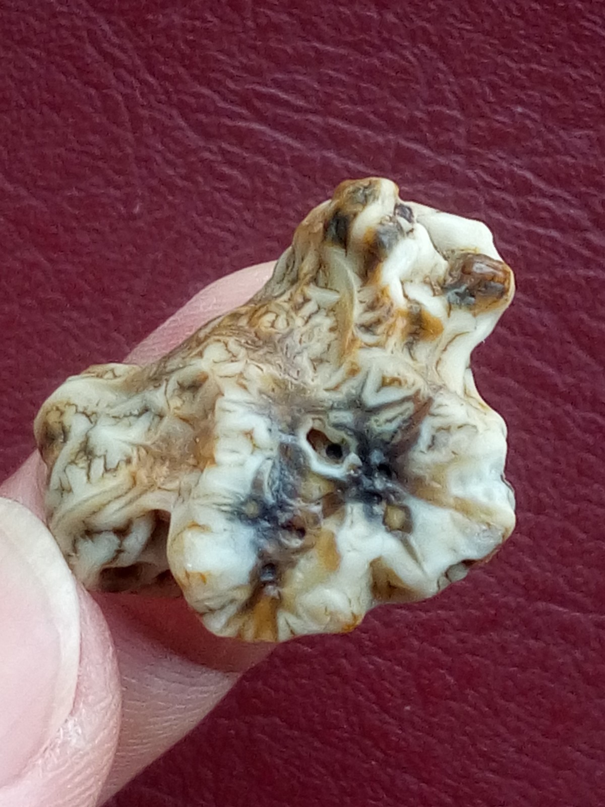 5 pieces Beautiful Natural GoBi agate veins agate Landscape stone