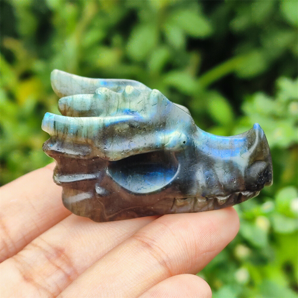 2″ Natural Hand Carved Dragon Skull Quartz Crystal Skull Gem Reiki Healing 1PC