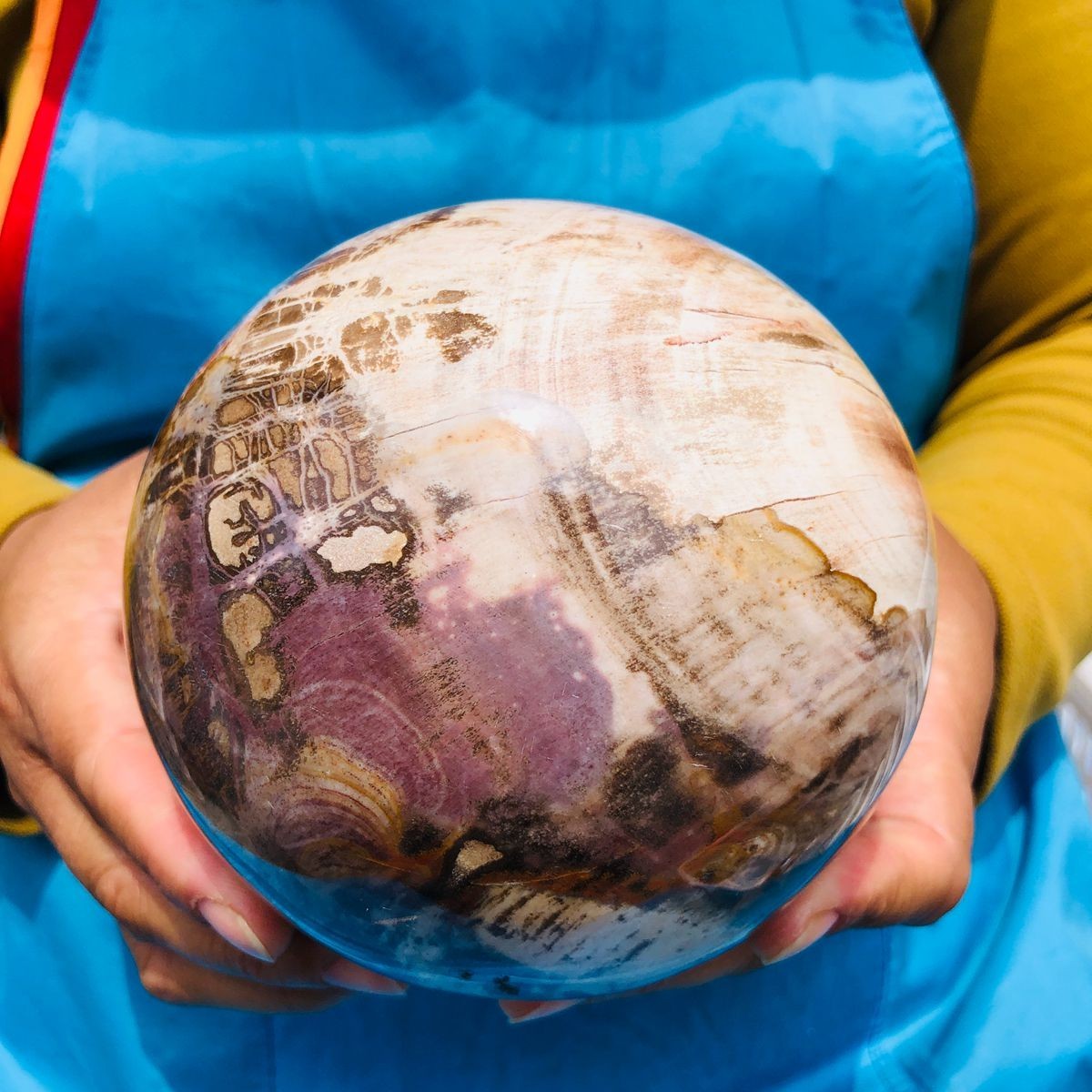 4.59LB Natural Petrified Wood Sphere Polished Crystal Ball reiki healing