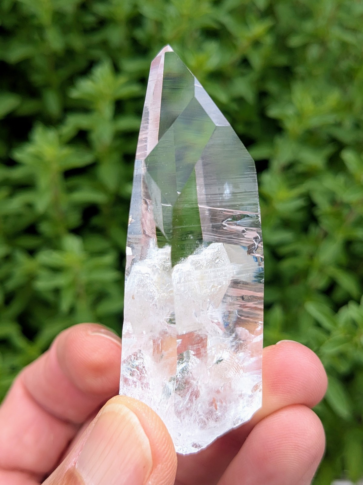 Lemurian Quartz Crystal – Penas Blancas, Colombia