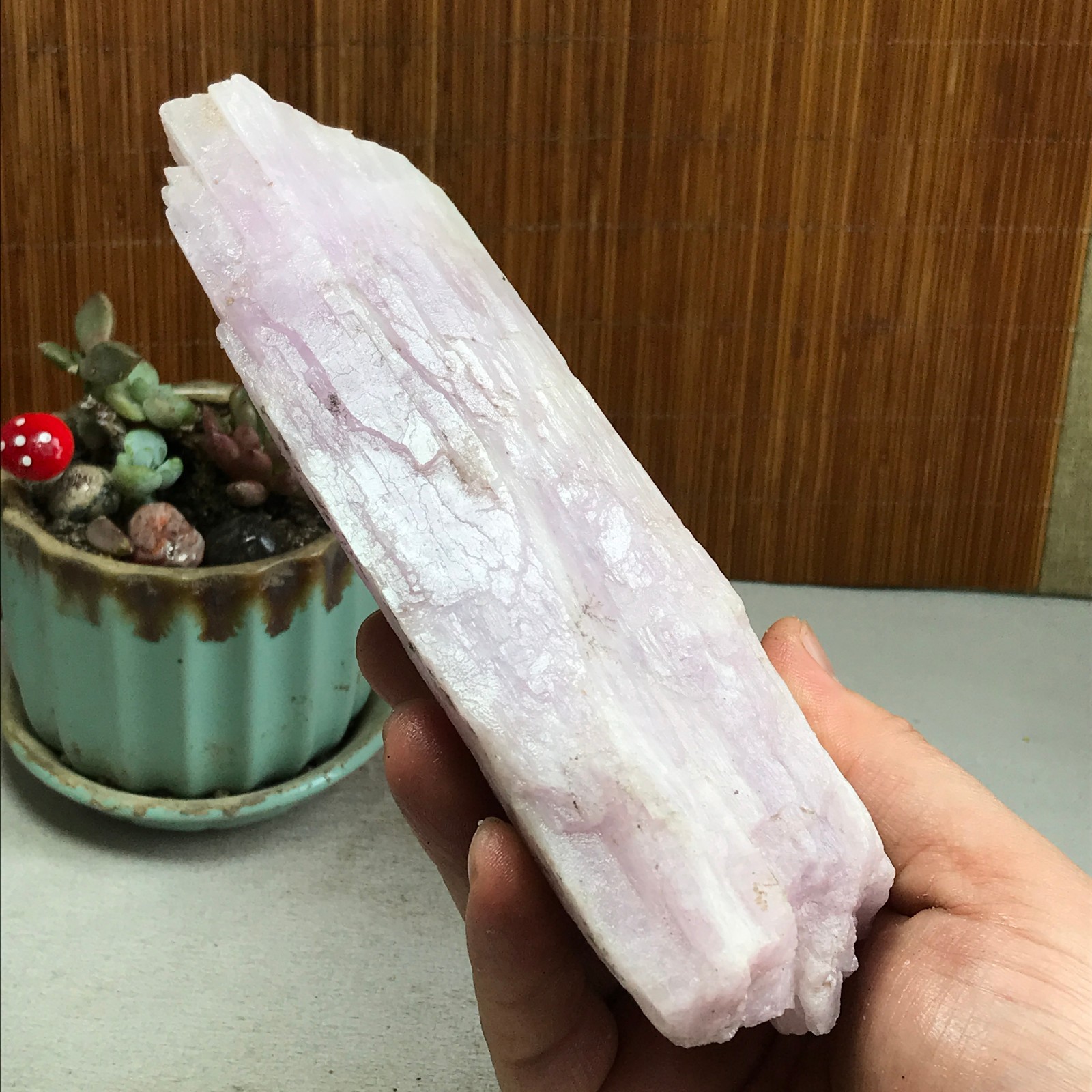 170-78-40mm NATURAL ROUGH KUNZITE PINK SPODUMENE CRYSTALS 830g A4613