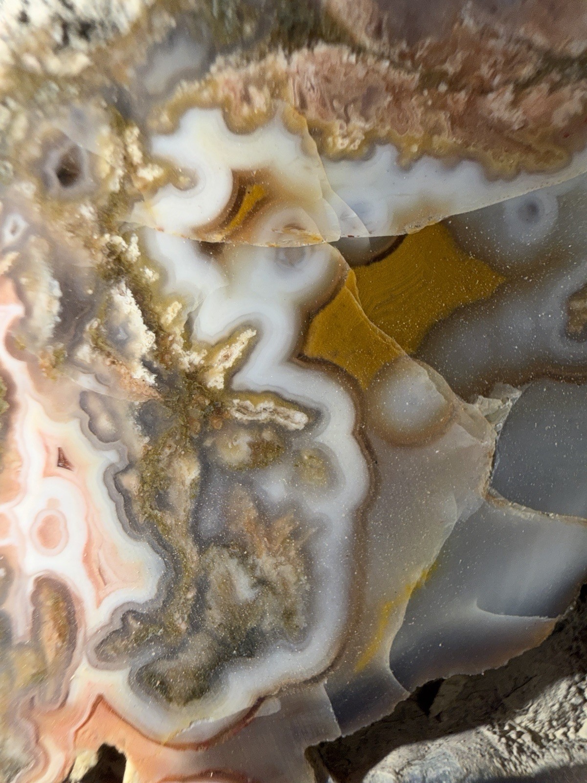 5 Mirror Polished Kentucky Agate Specimens. Nice Variety Fortifications Banding