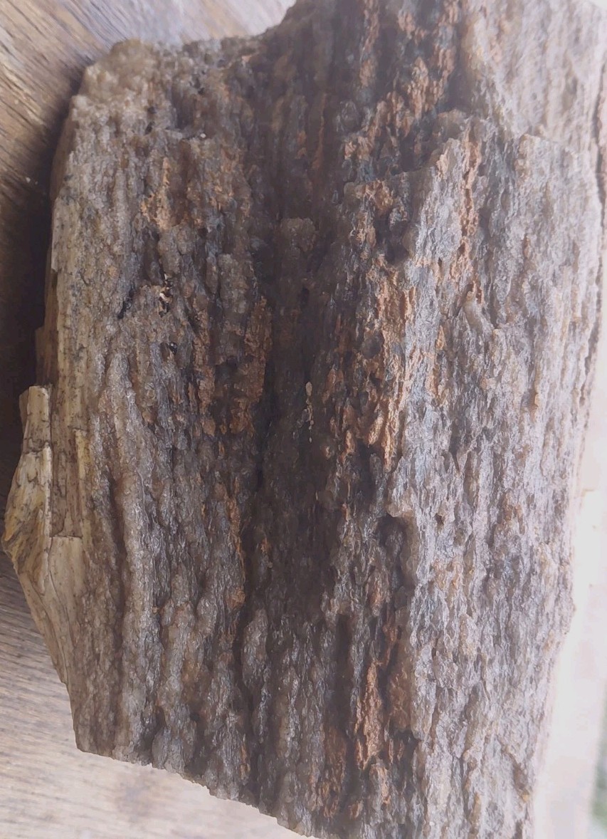 Petrified Wood 4lbs 9.5oz Limb Quartz Replaced Bark UV+ Henry Mountains UT Displ