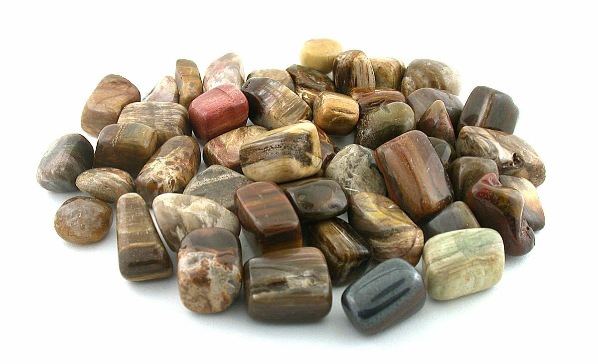 1/2 Pound Petrified Wood Tumble Polish Polished 1/2 To 9/10 Inch Gemstone T11