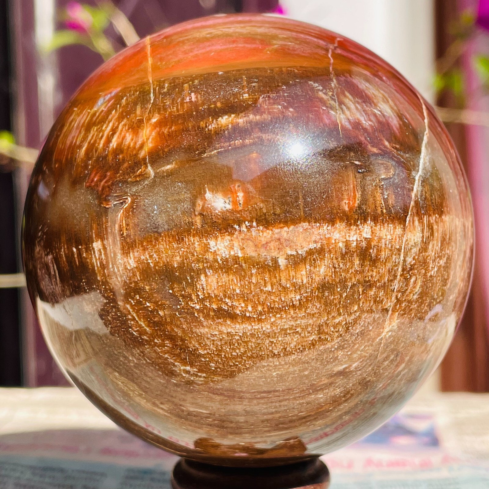 640g Natural Red Petrified Wood Crystal Ball Fossil Polished Sphere Specimen