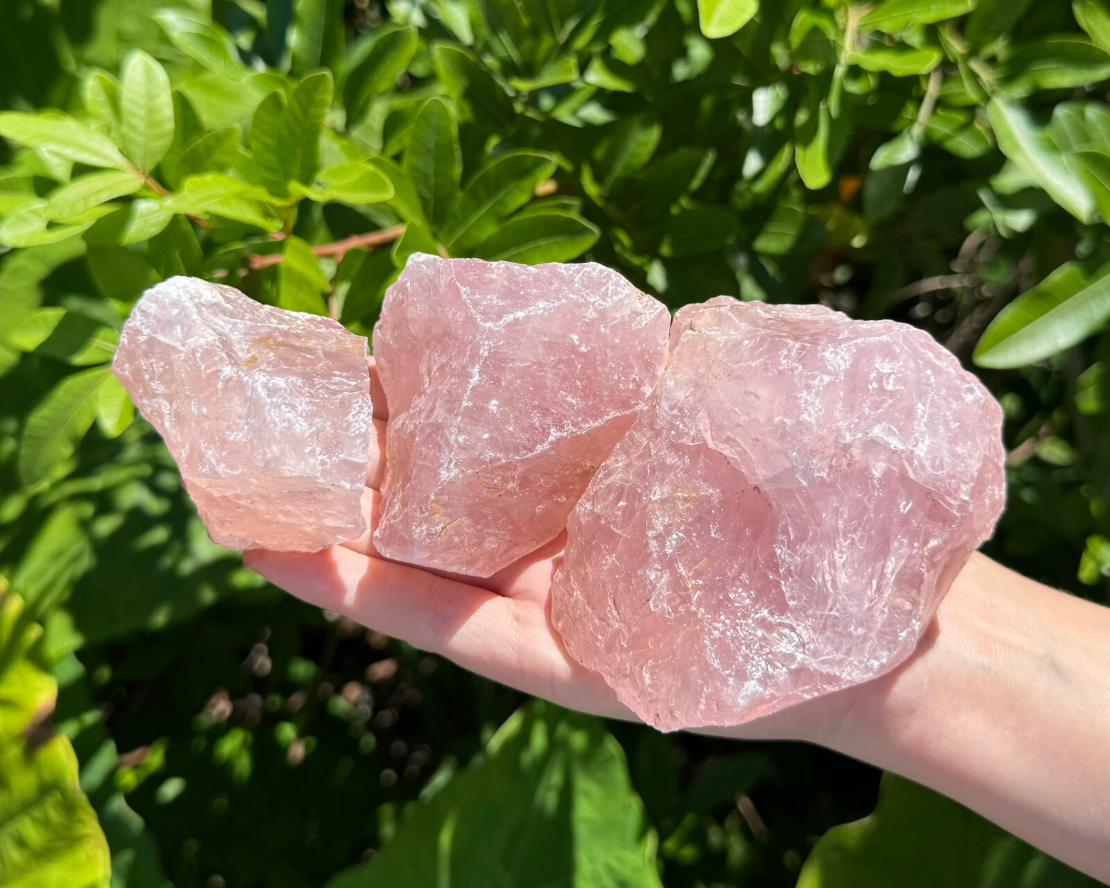 JUMBO Rose Quartz Natural Raw Crystals – Choose Size Huge Chunks (Love Stone)