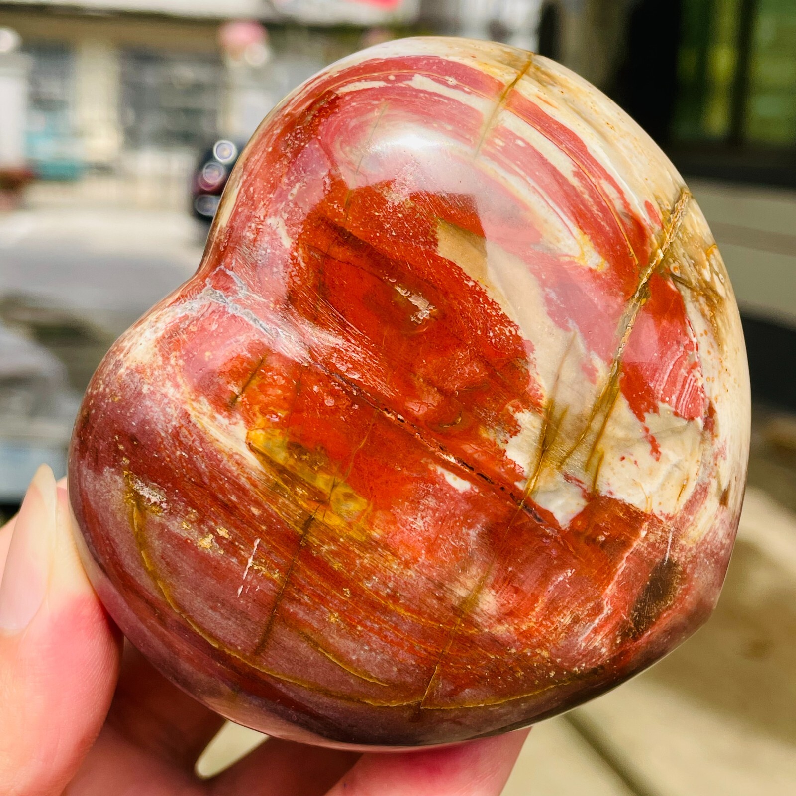364g Natural Petrified Wood Jade Quartz Crystal Fossil Heart Shape Specimen