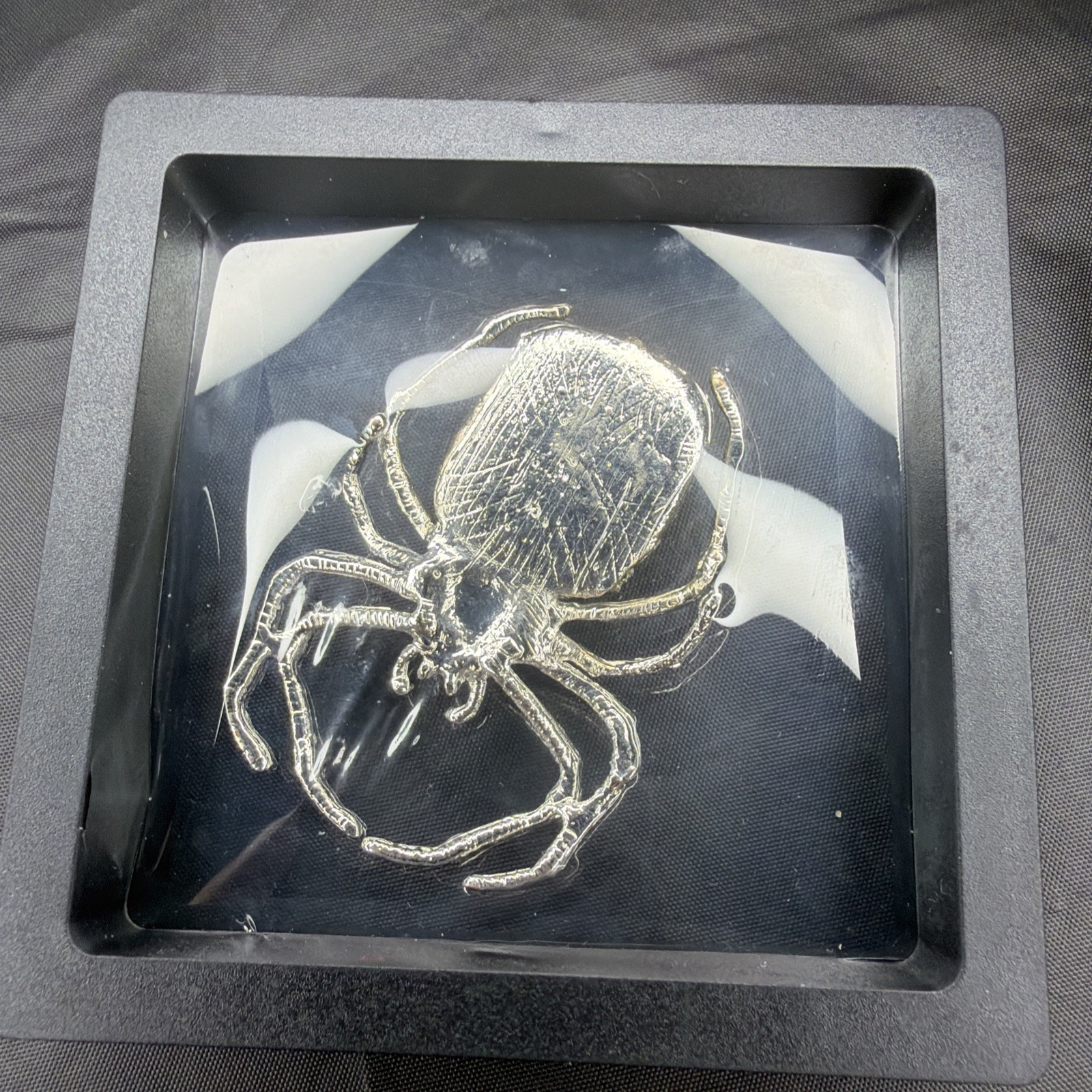 Natural Pyrite Spider Shadow Box Display – Fool’s Gold Mineral Decor