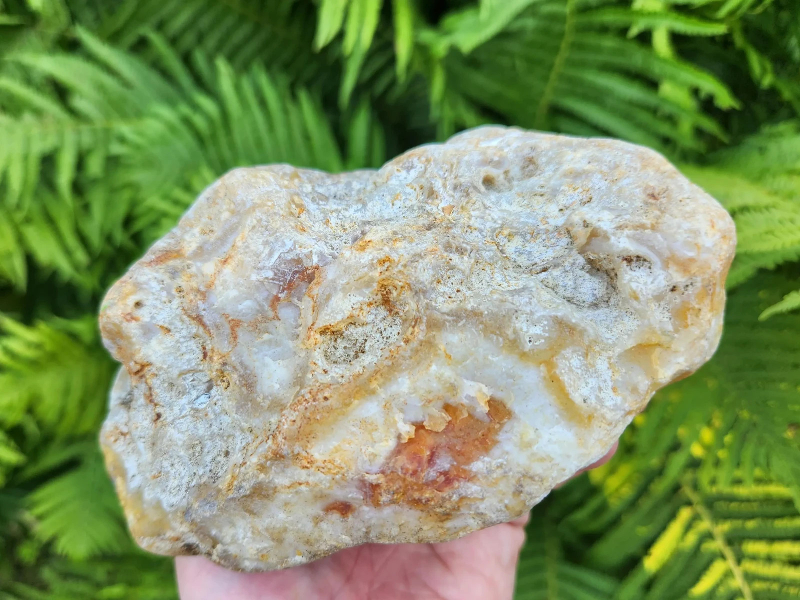 Large Oregon River Agate w/ Waterline Features, 2 lbs 4 oz, Chalcedony, Lapidary