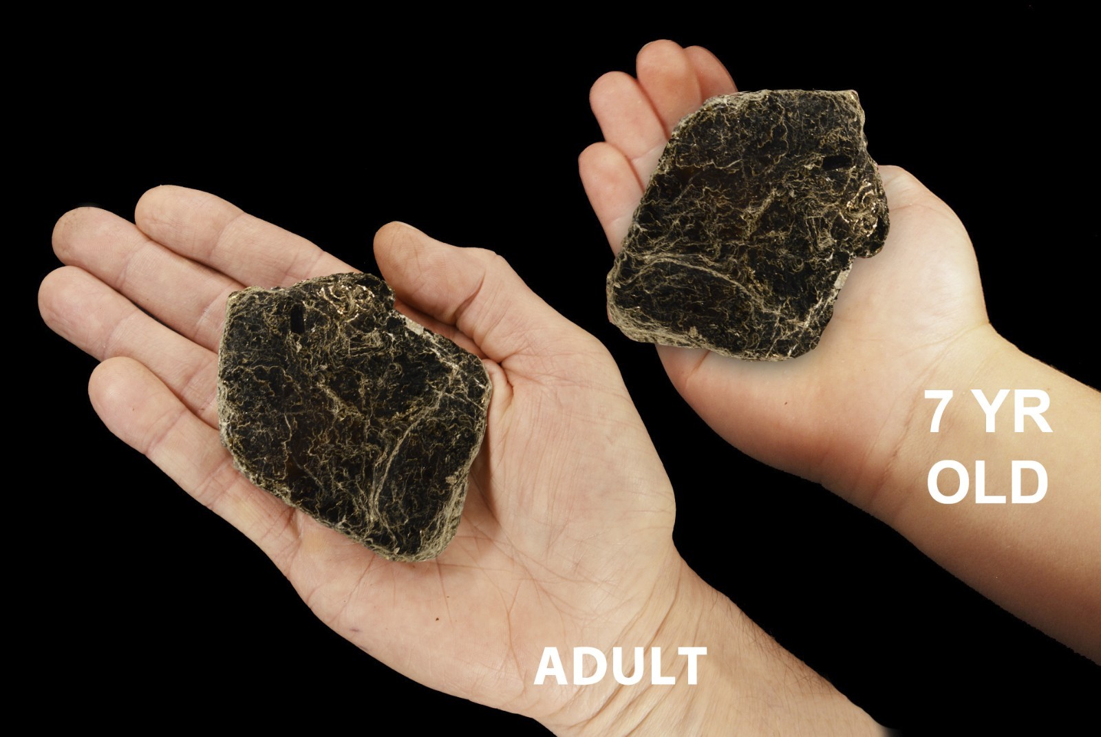 BIOTITE BOOK MICA 2 1/2″ 2-4 Oz Thick Rock Mineral Specimen Rough Reiki Crystals