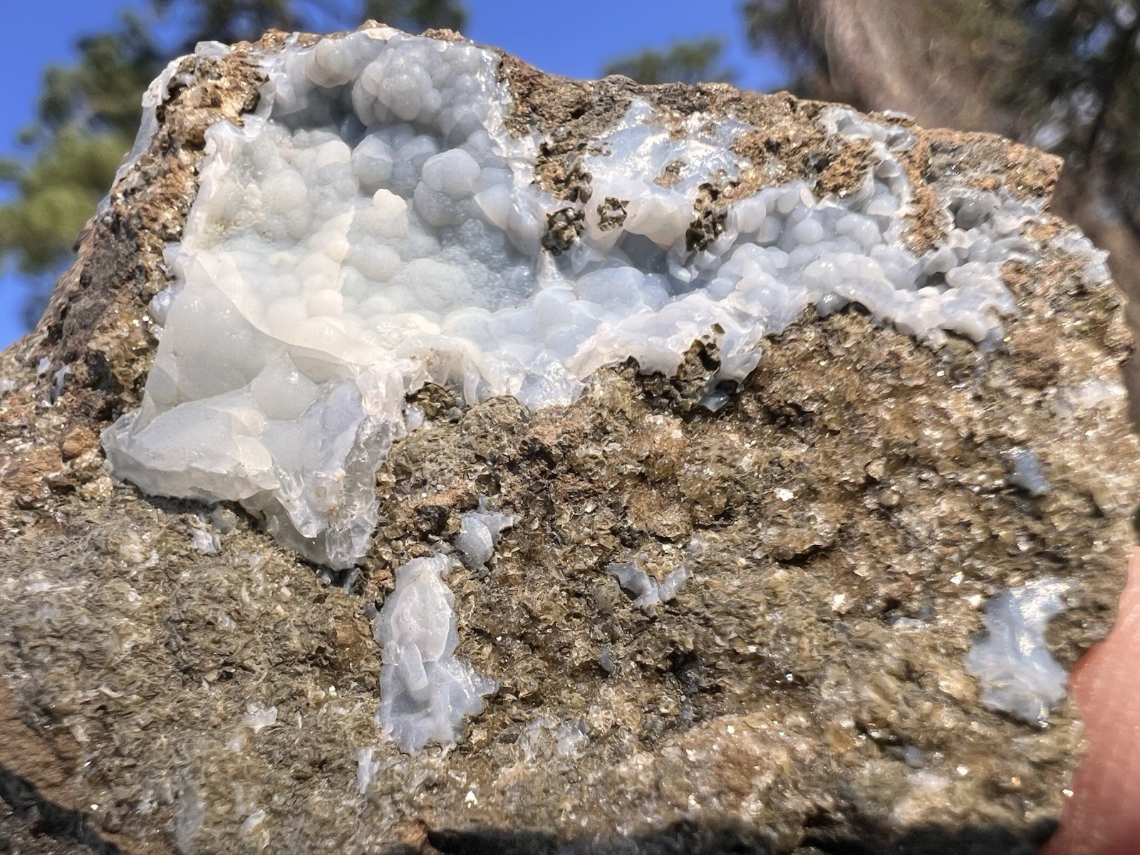 Botryoidal Blue Chalcedony Vug – Gleichenberg, Austria – 165 Grams