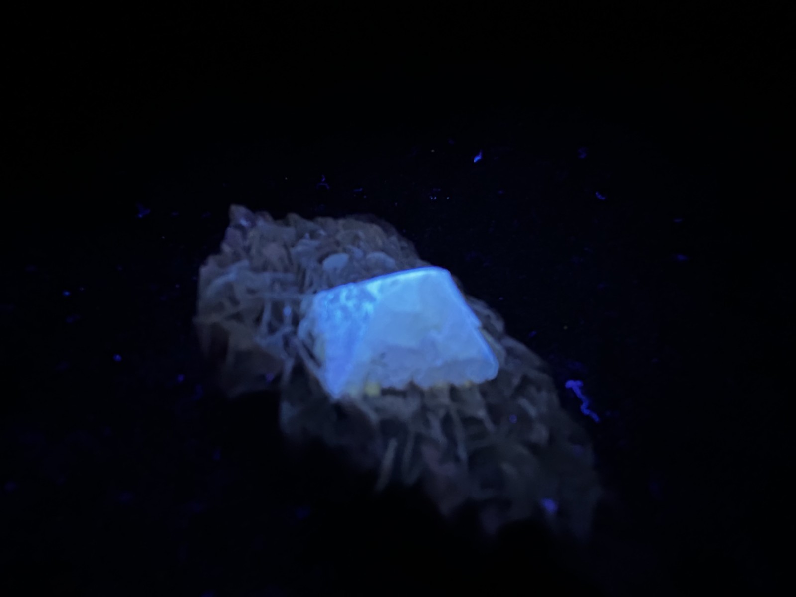 KB: SW FL BRIGHT BLUE/WHITE & LW ORANGE SCHEELITE XLS. FROM PINGWU MINE, CHINA