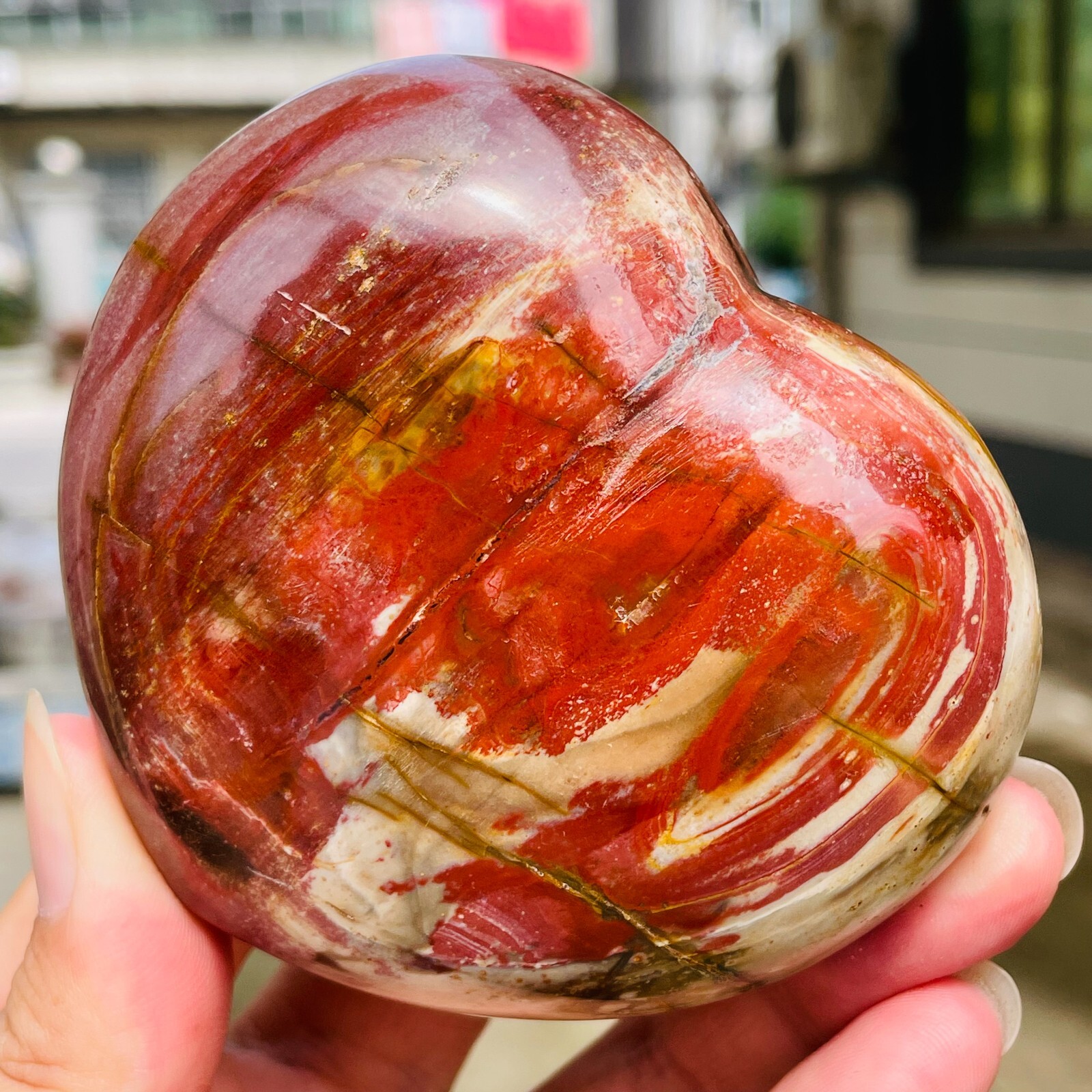 364g Natural Petrified Wood Jade Quartz Crystal Fossil Heart Shape Specimen